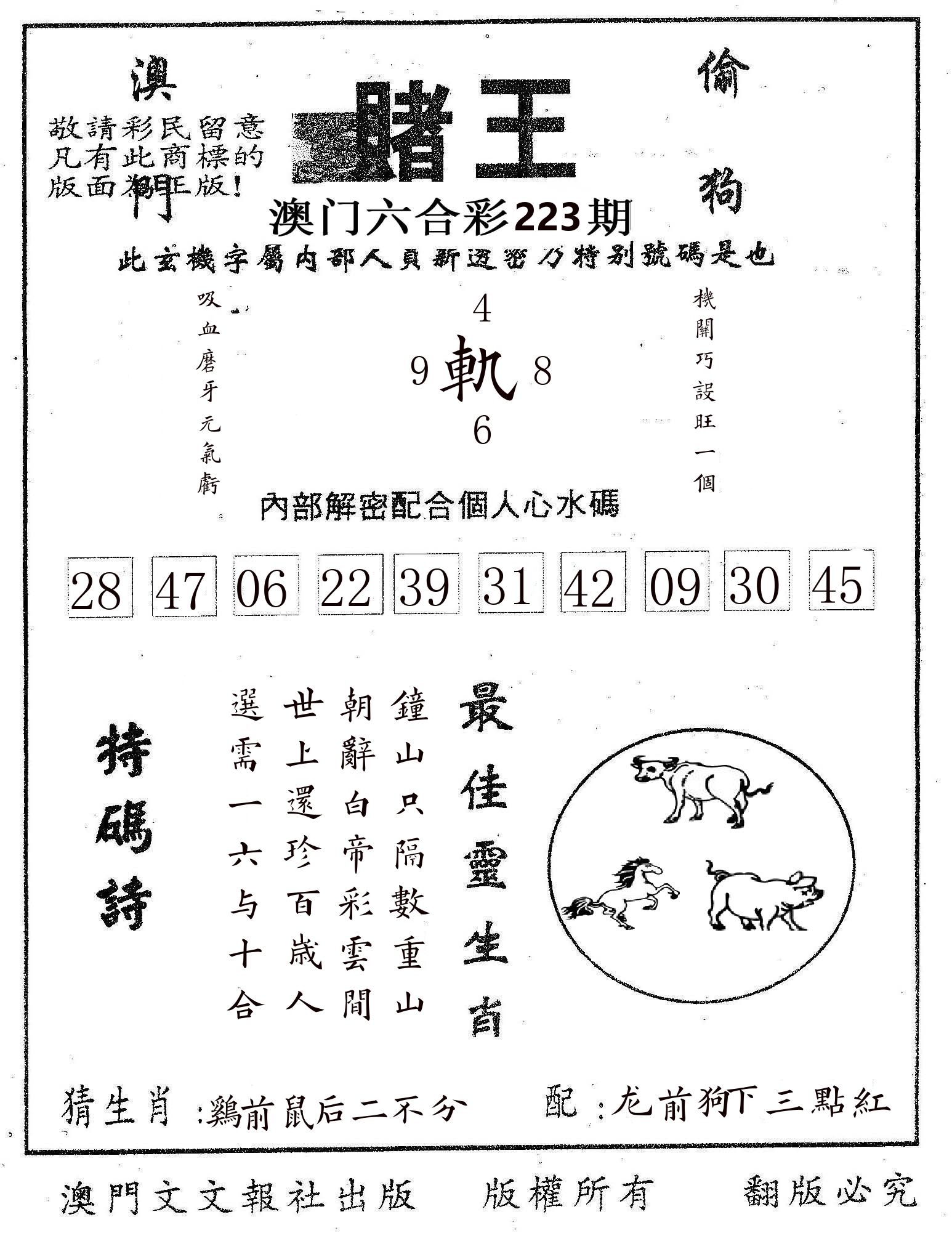 赌王 第223期