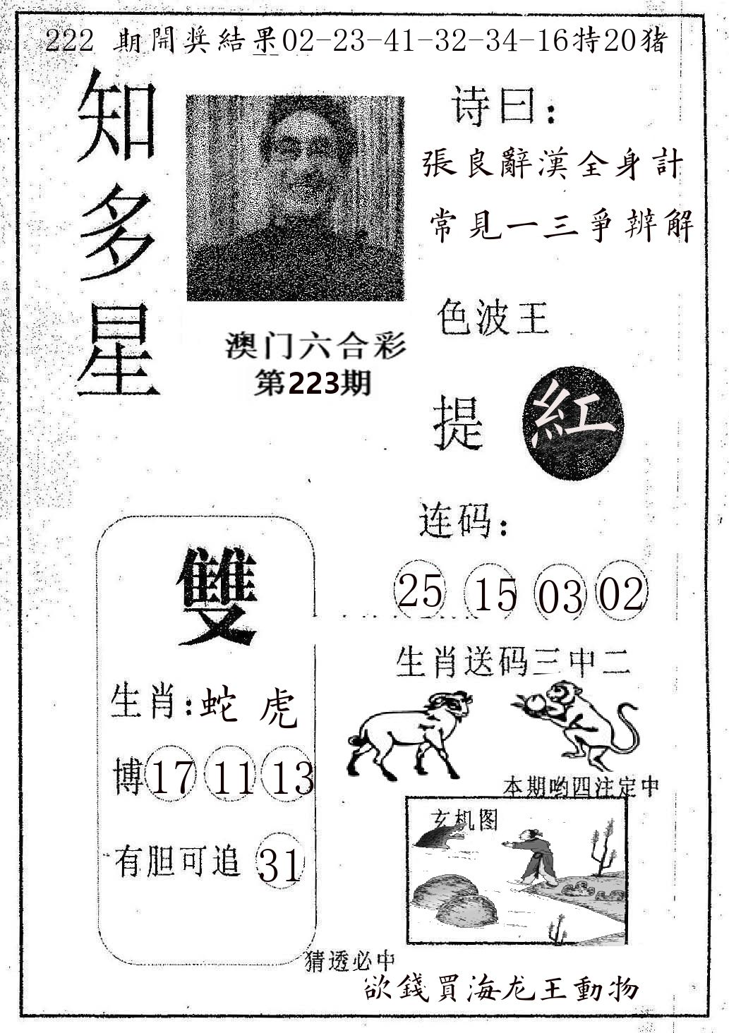 知多星 第223期