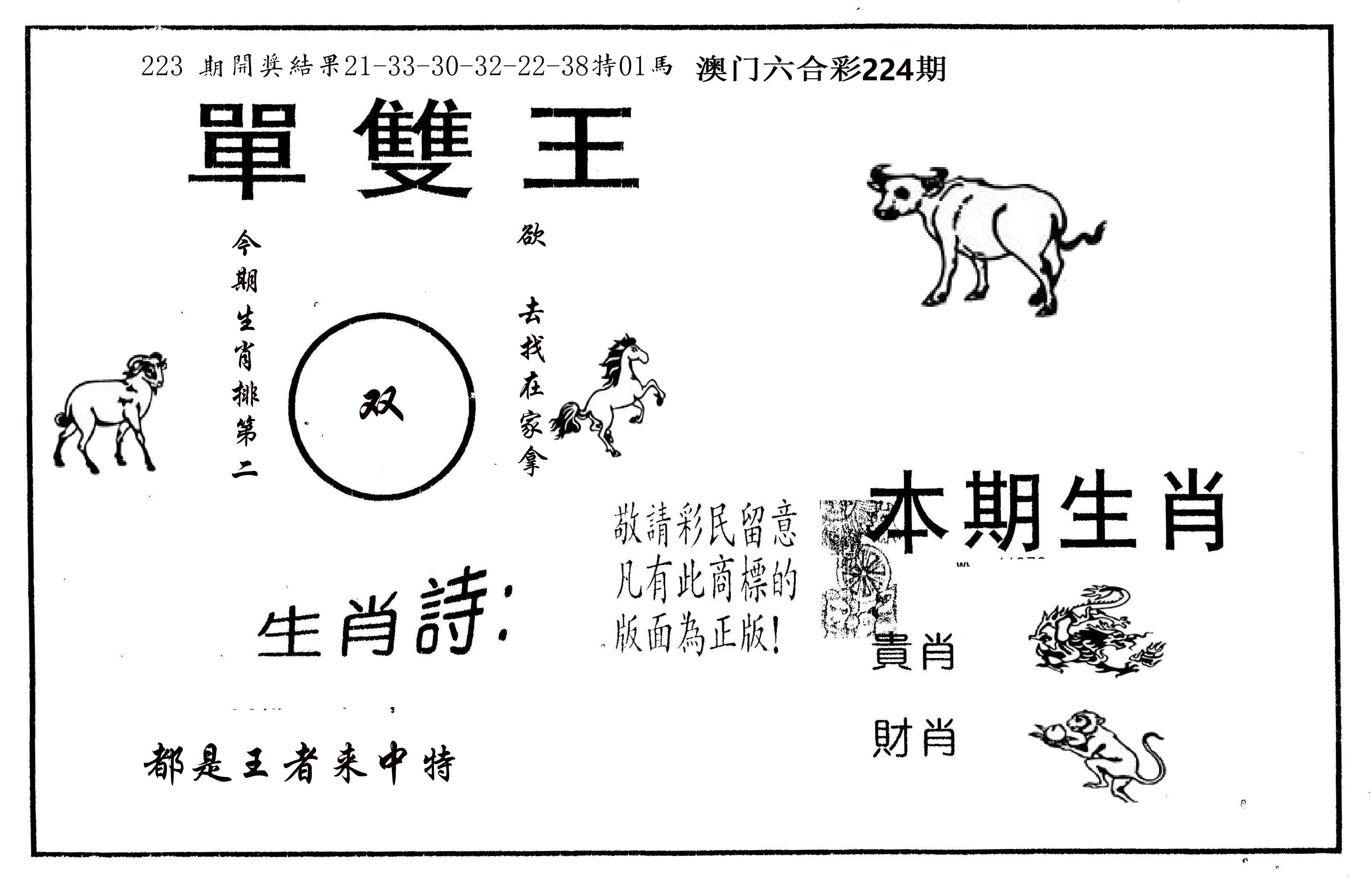 单双王A 第224期