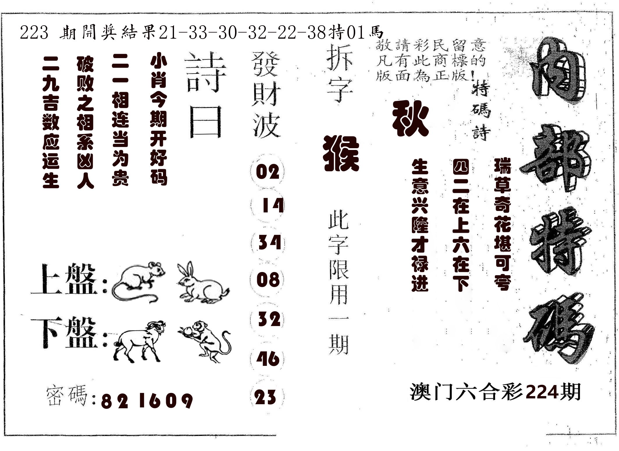 内部特码 第224期
