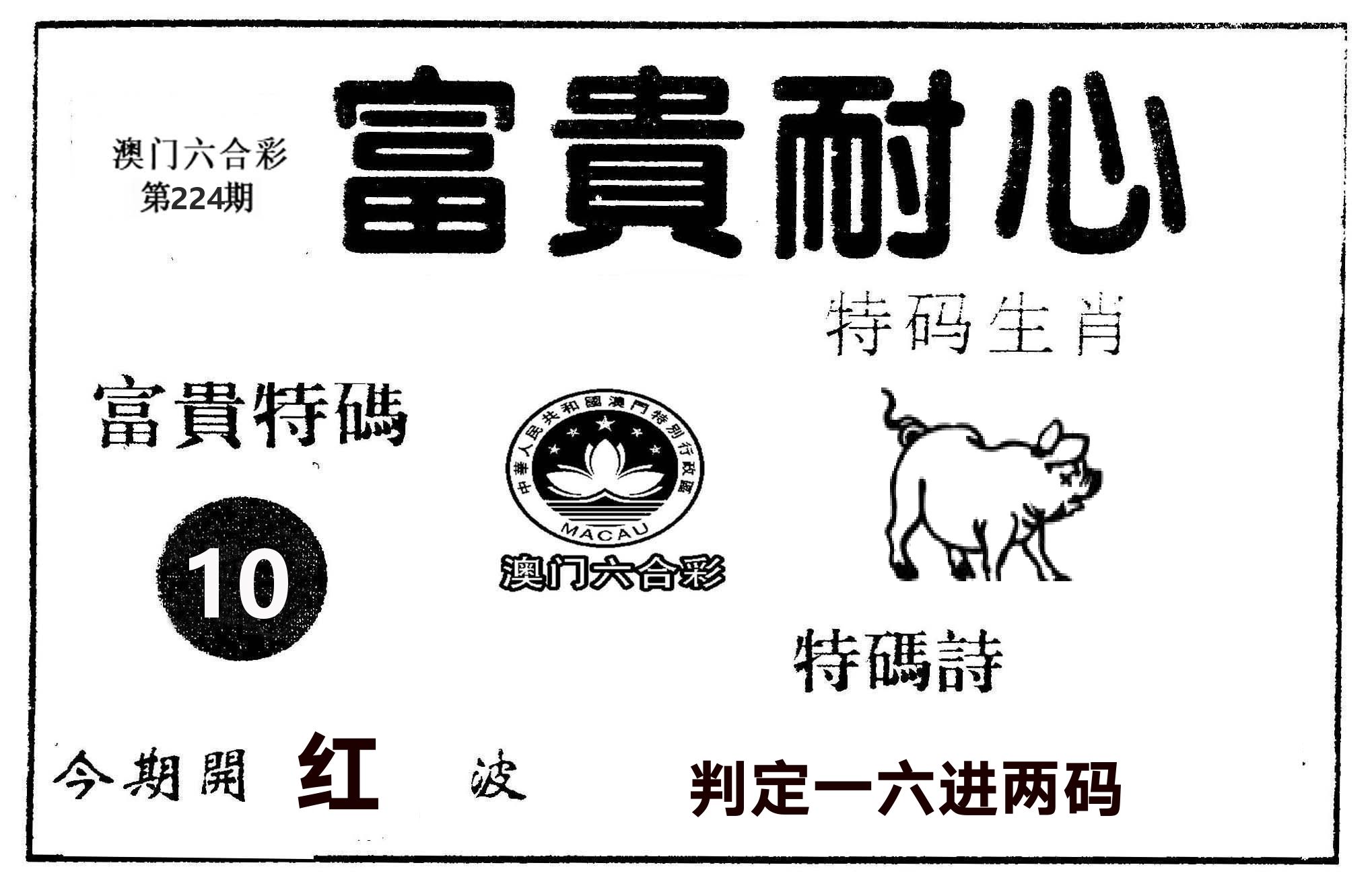 富贵耐心 第224期