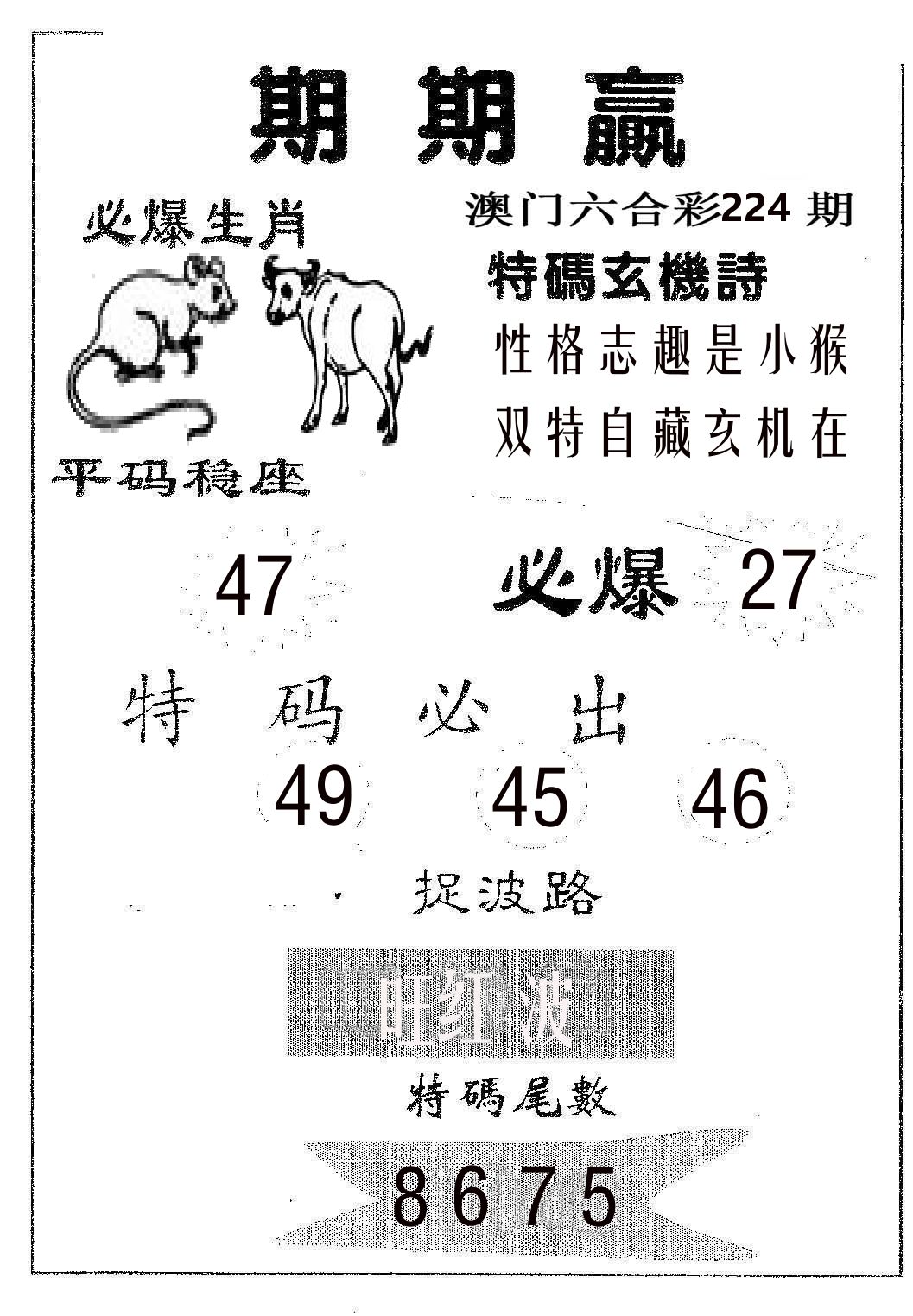 期期赢 第224期