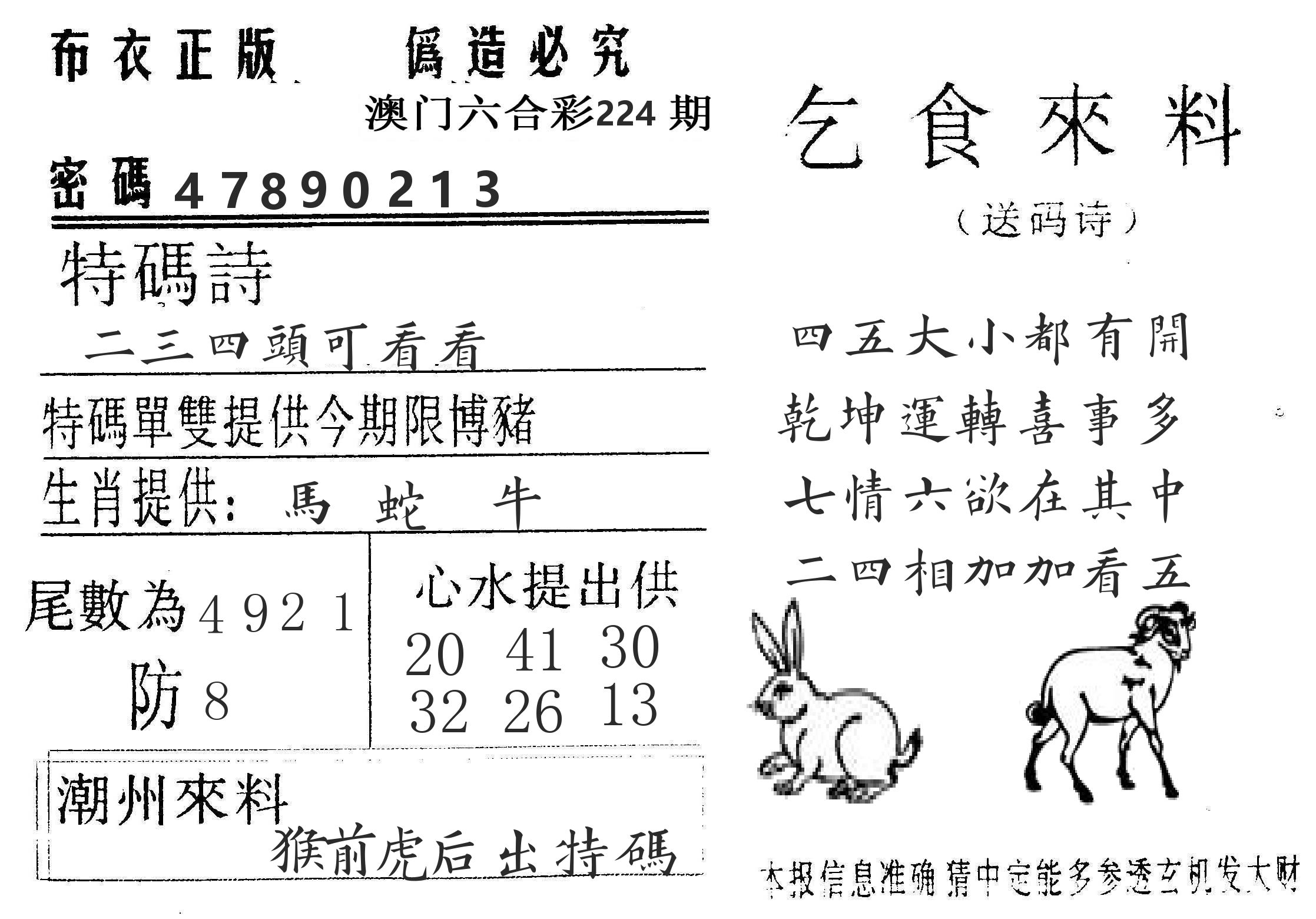 千禧码王 第224期