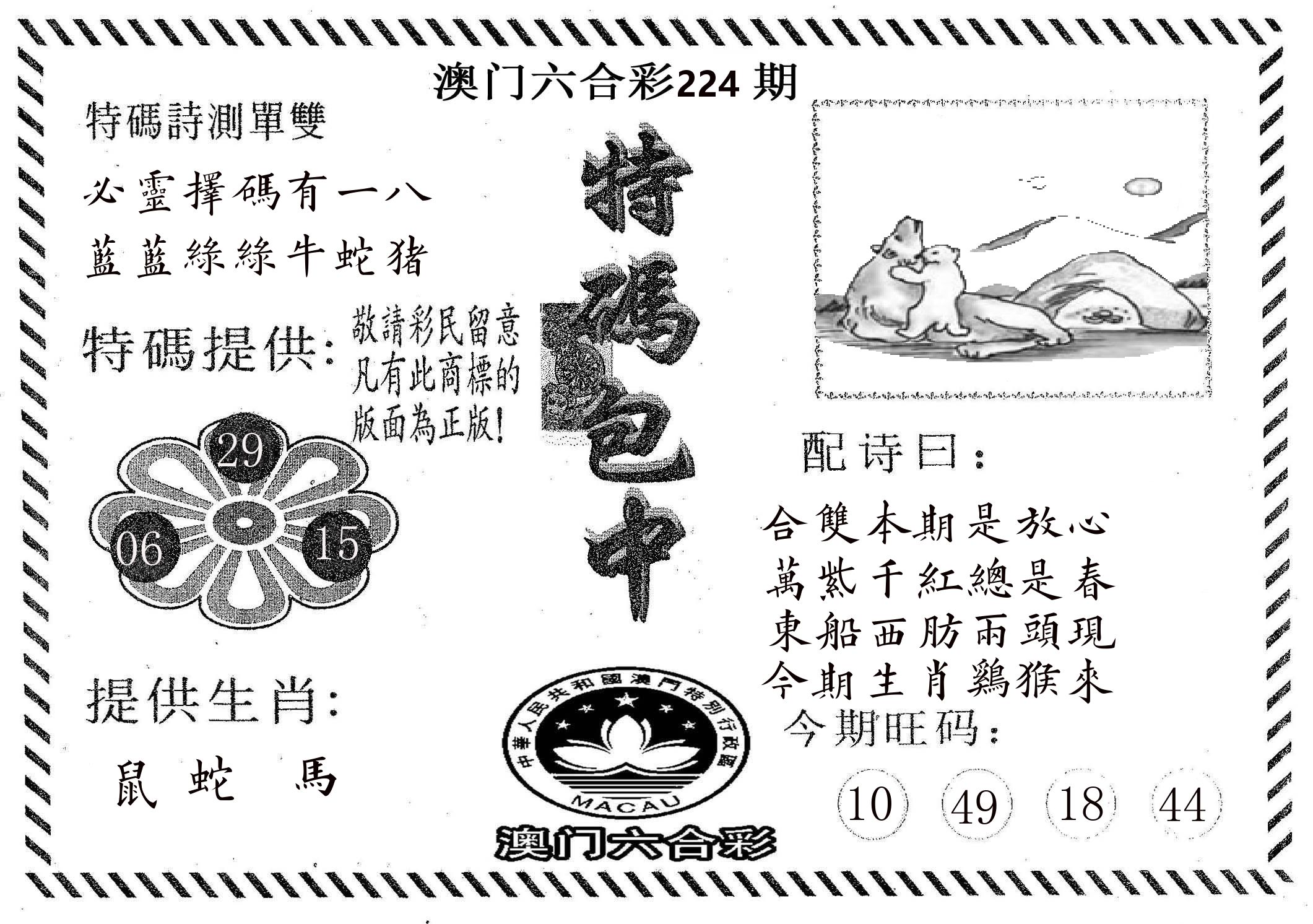 特码包中 第224期