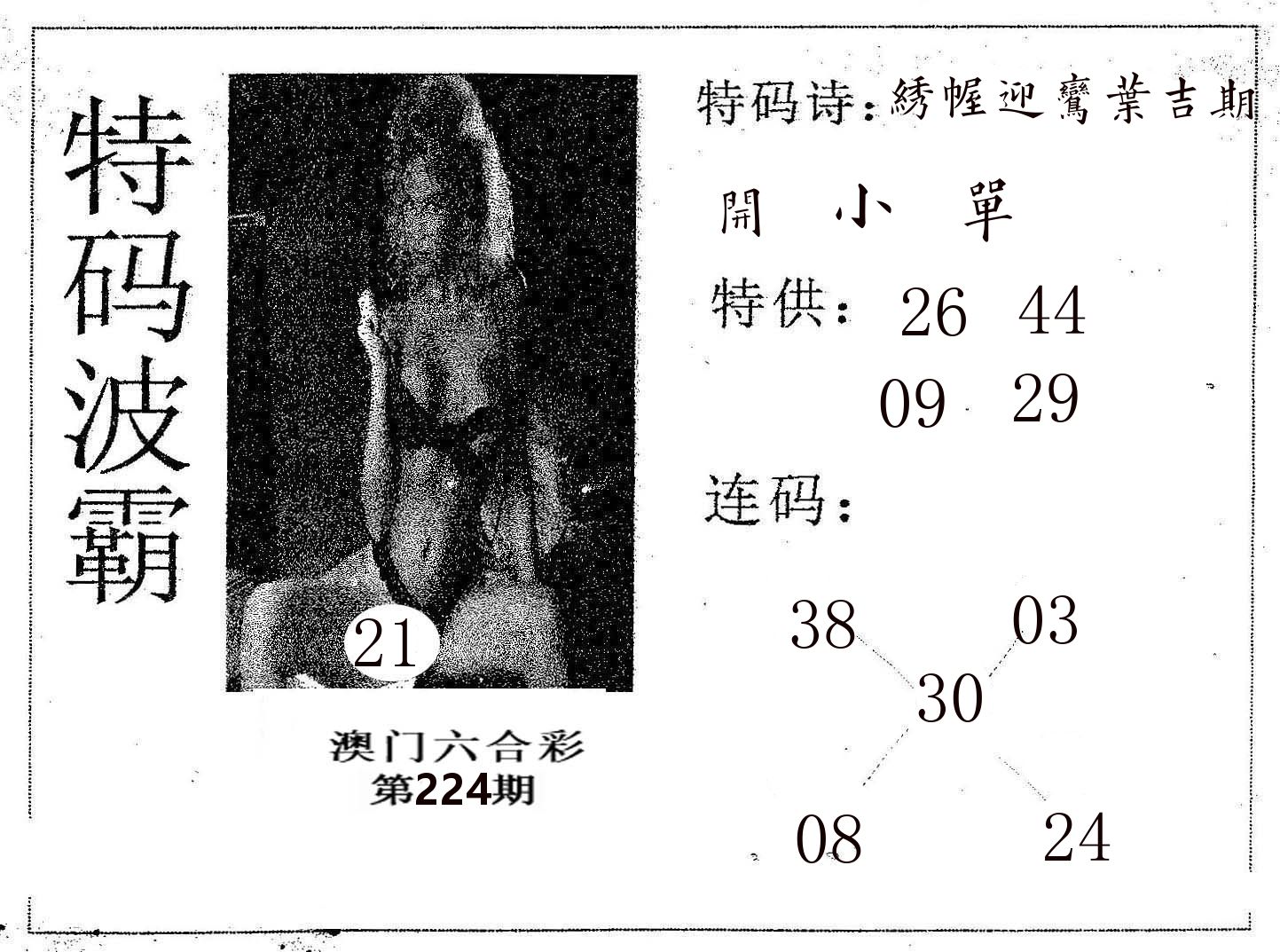 特码波霸 第224期