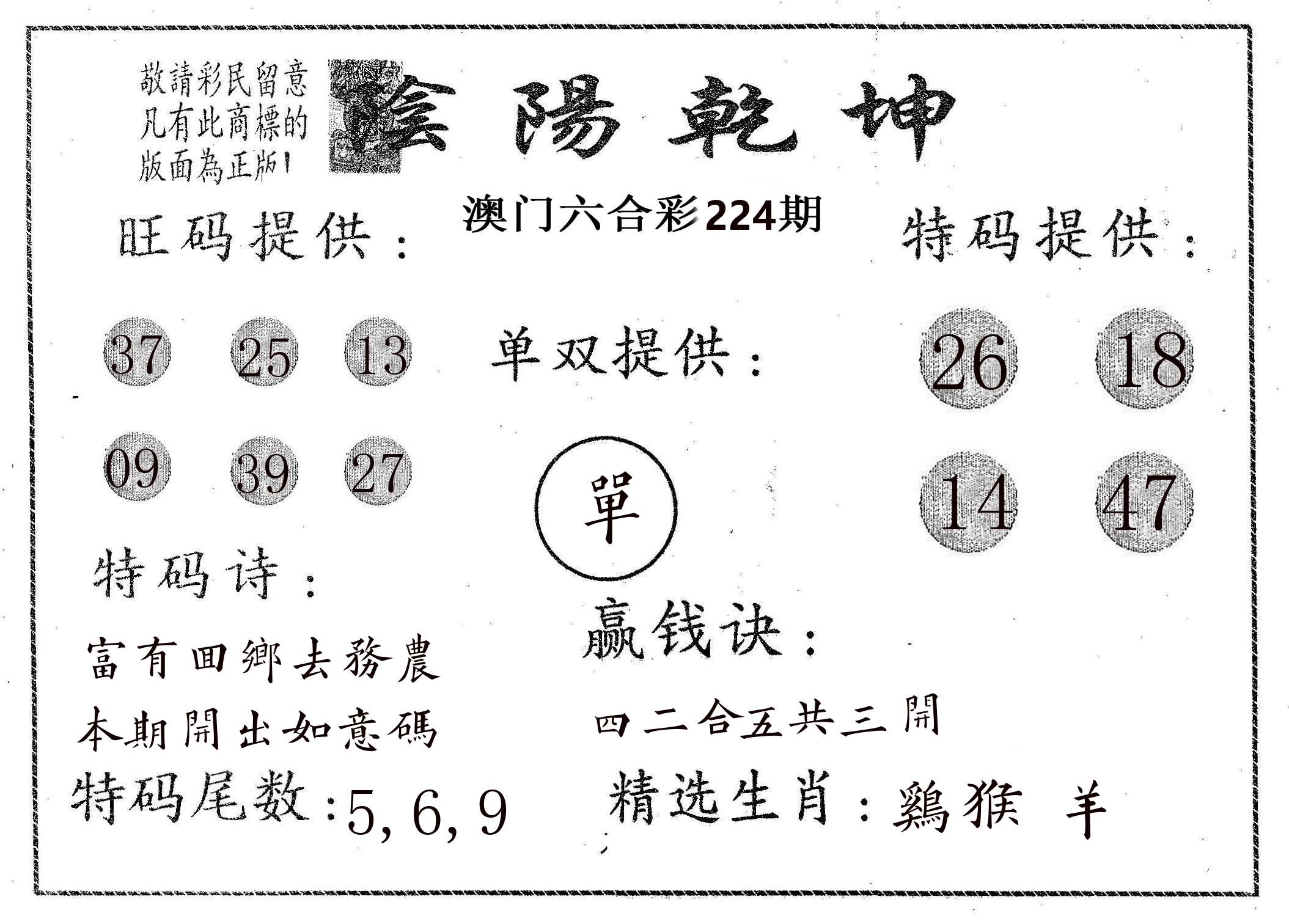 阴阳乾坤 第224期
