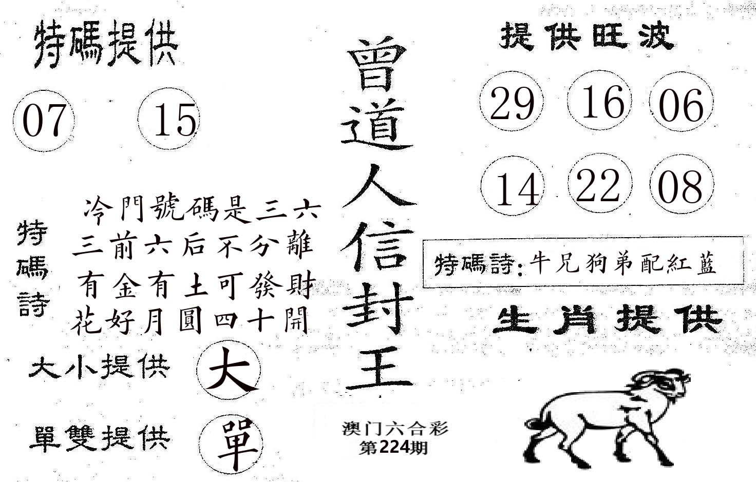 曾信封王 第224期
