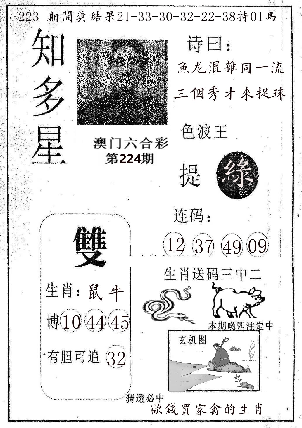 知多星 第224期