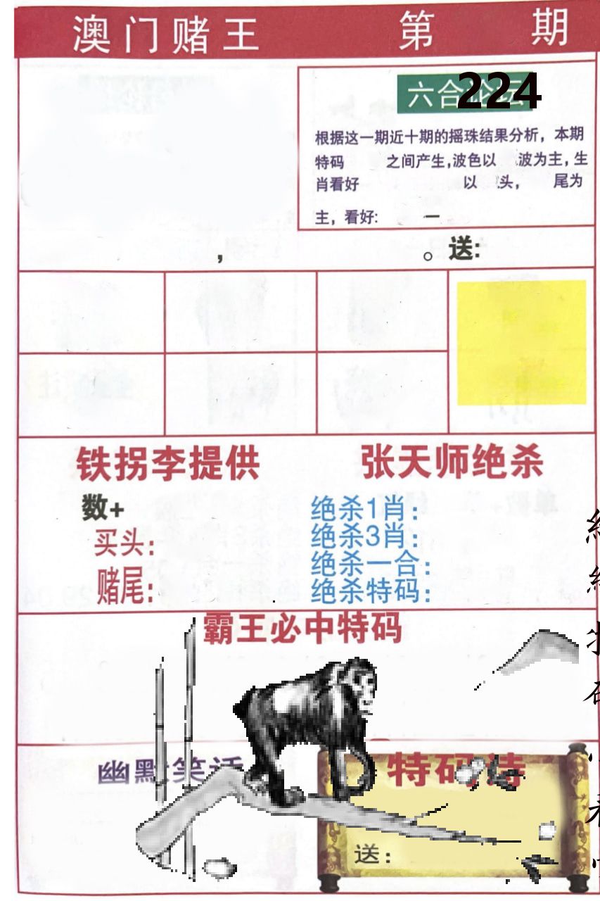 澳门堵王 第224期