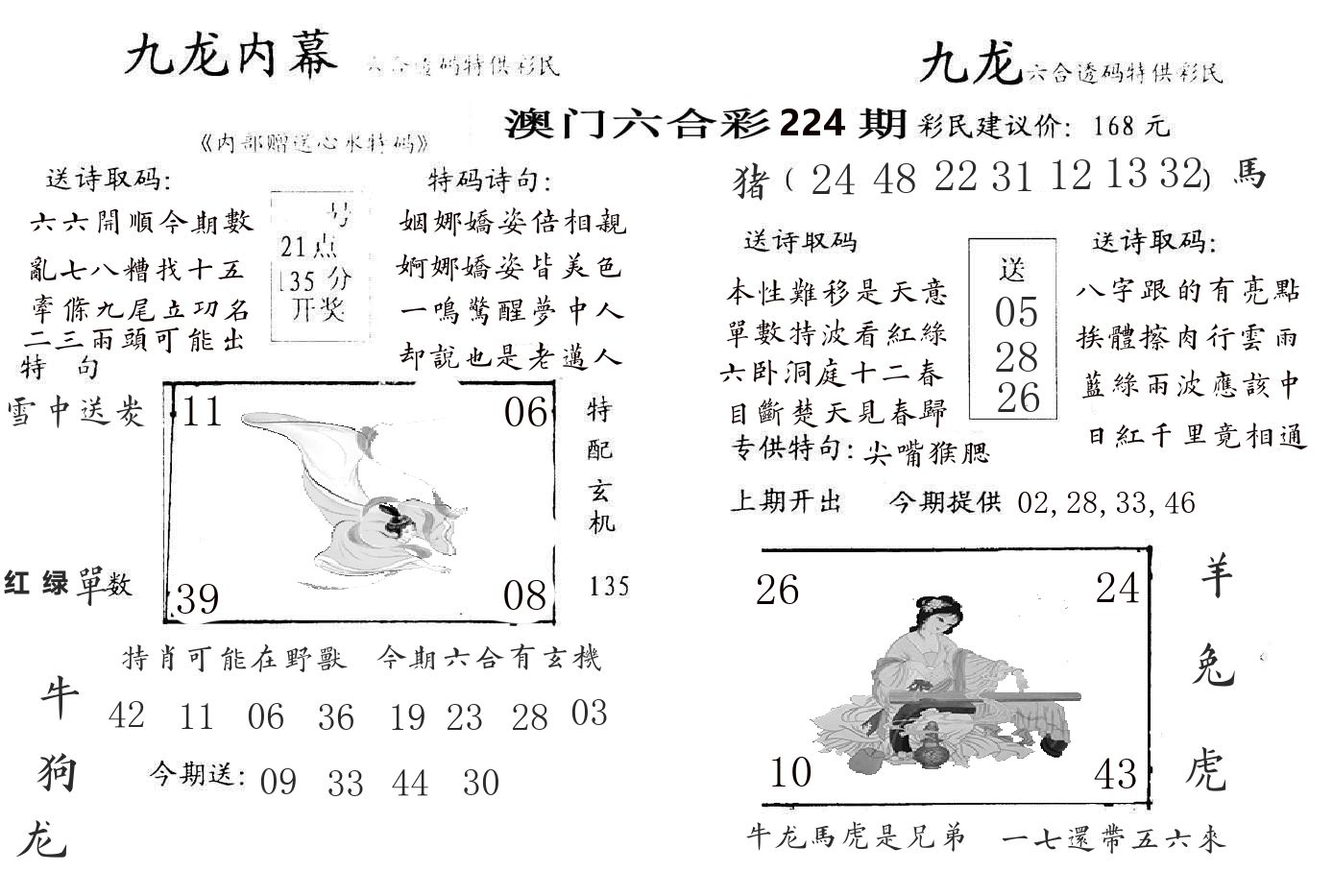 九龙内幕 第224期