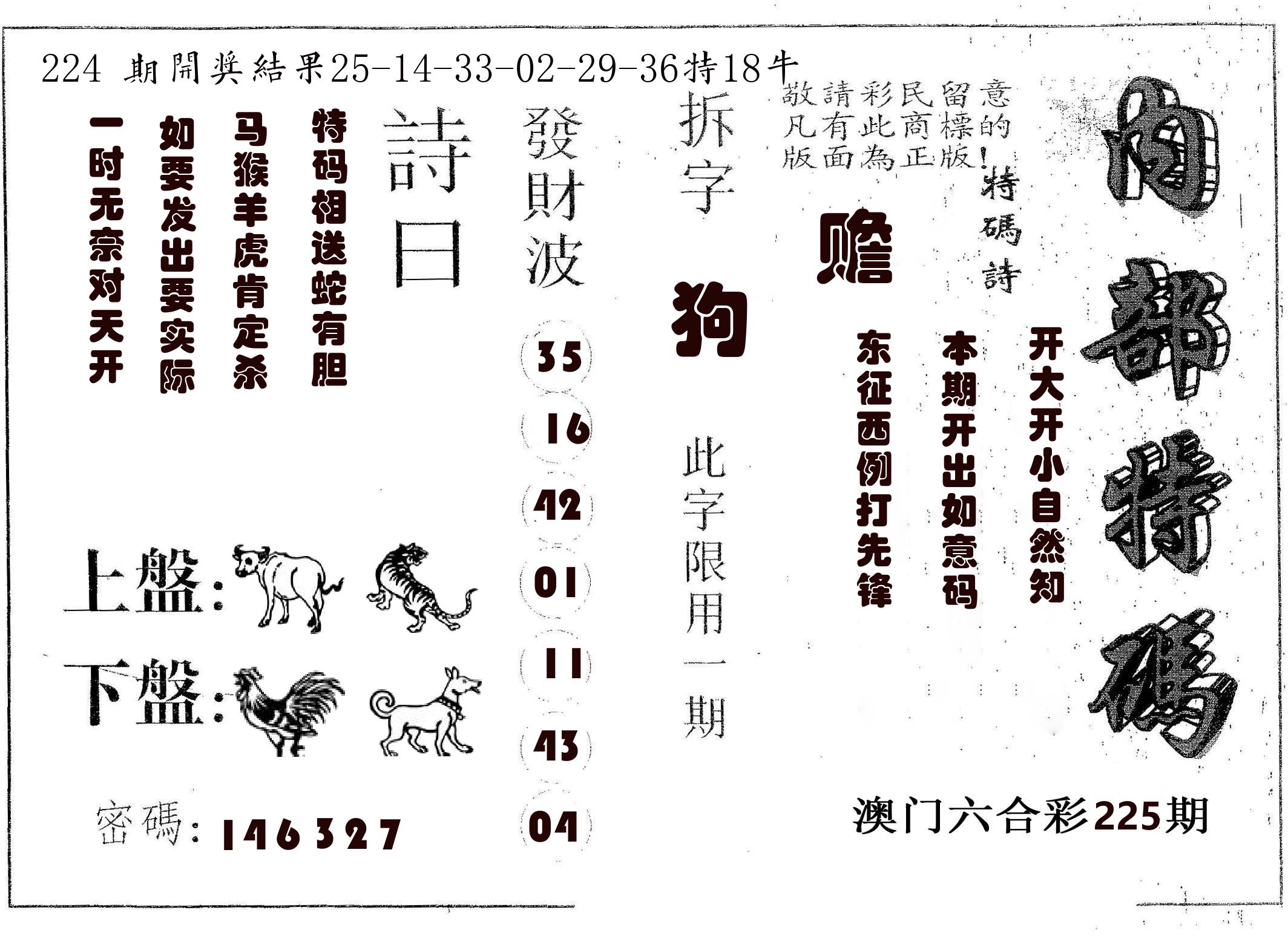 内部特码 第225期
