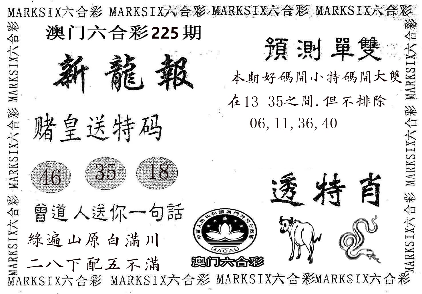 新龙报 第225期