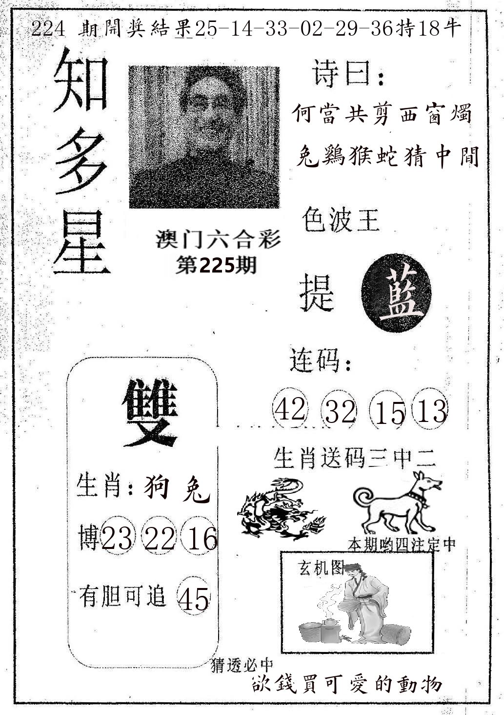 知多星 第225期