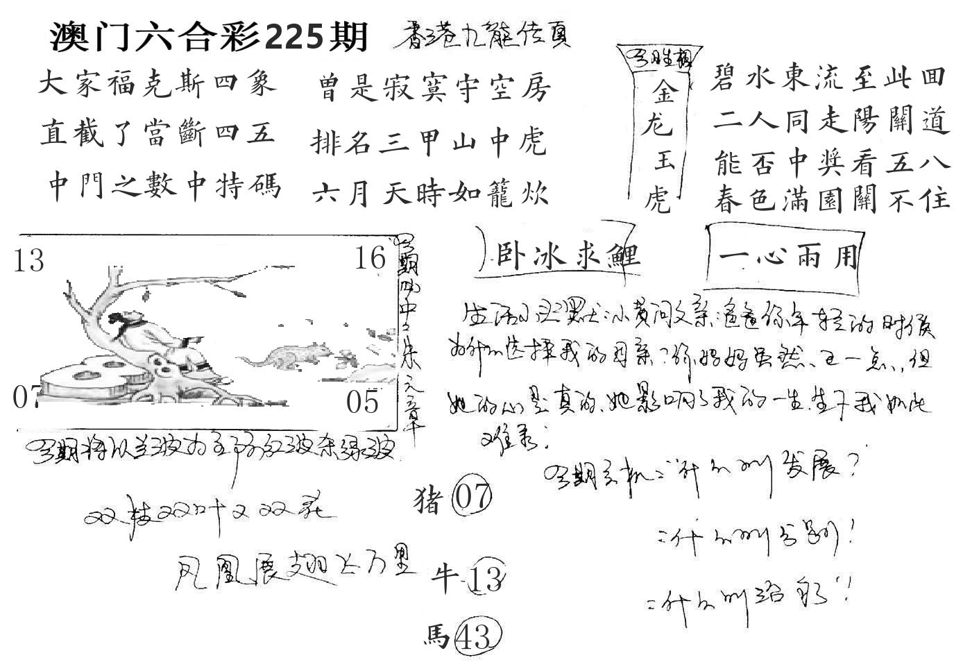 澳门手写九龙 第225期