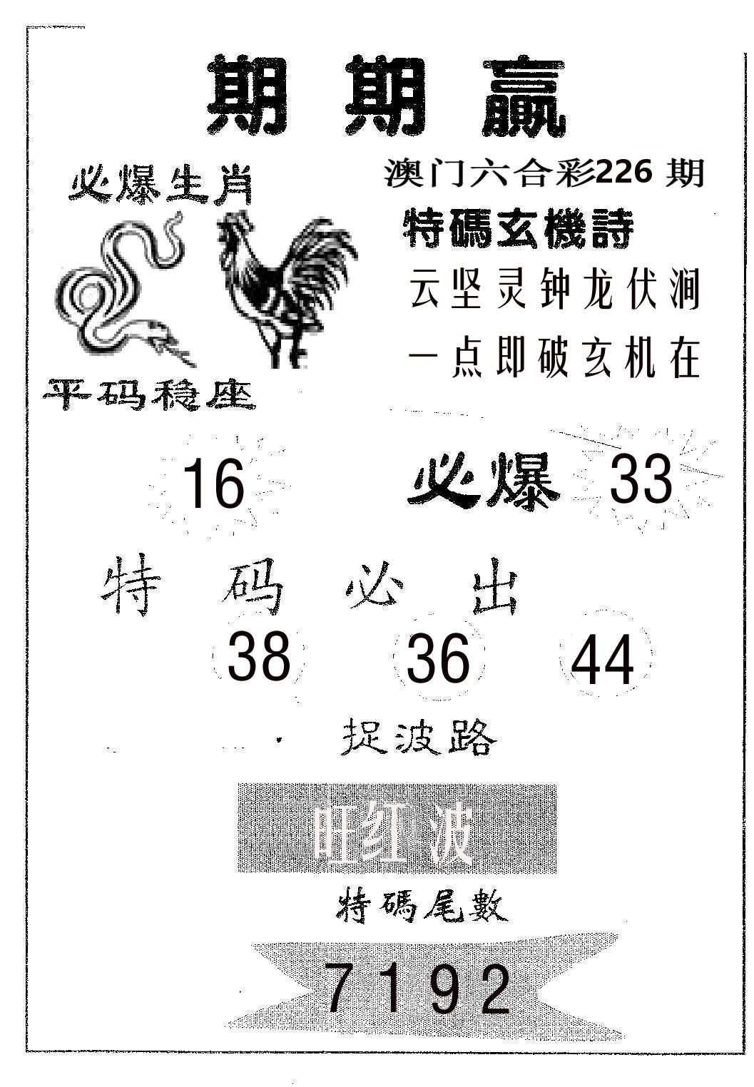 期期赢 第226期
