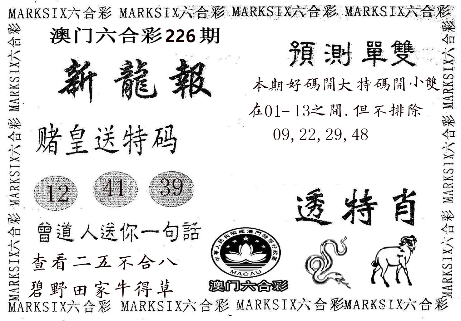 新龙报 第226期
