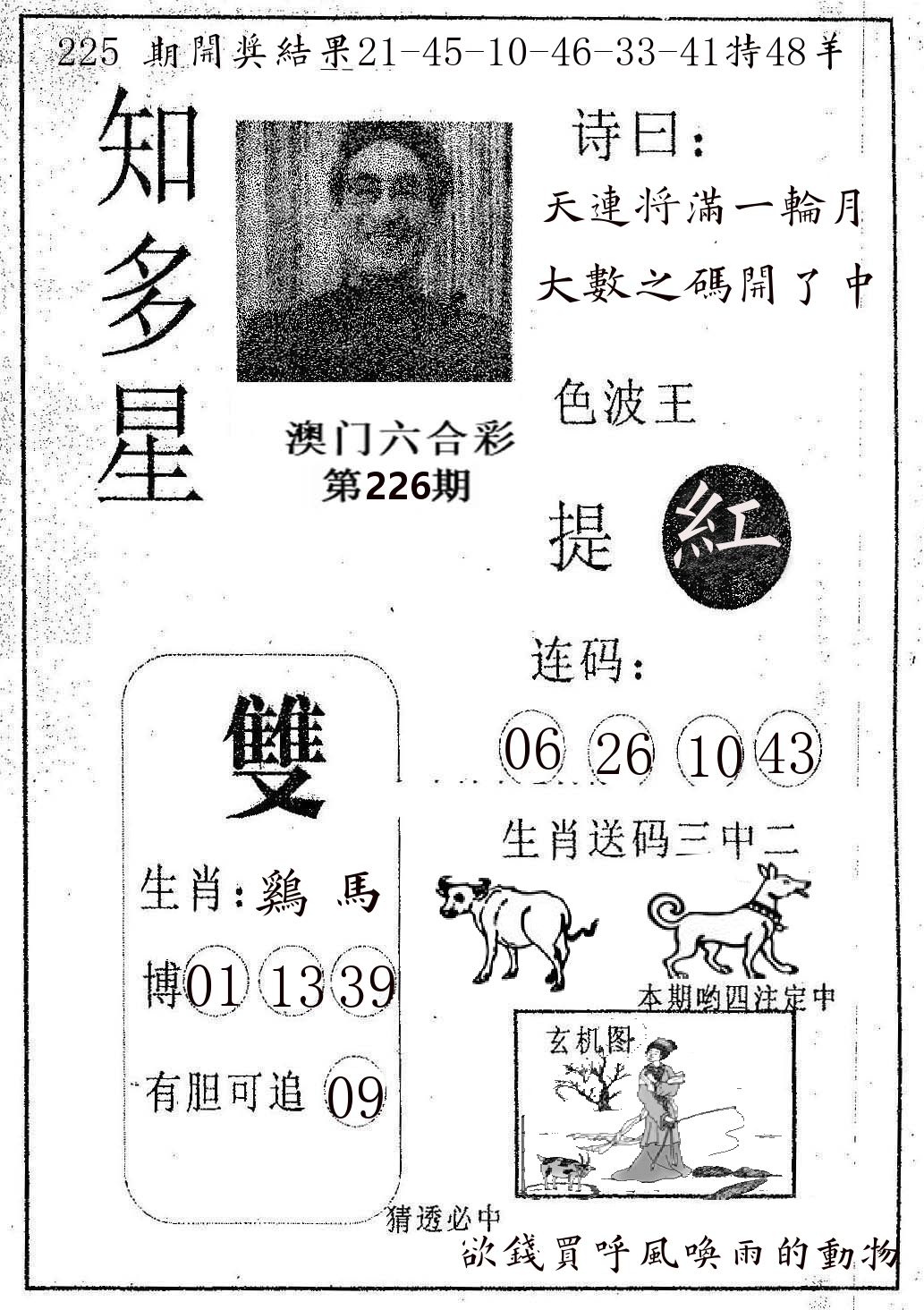 知多星 第226期