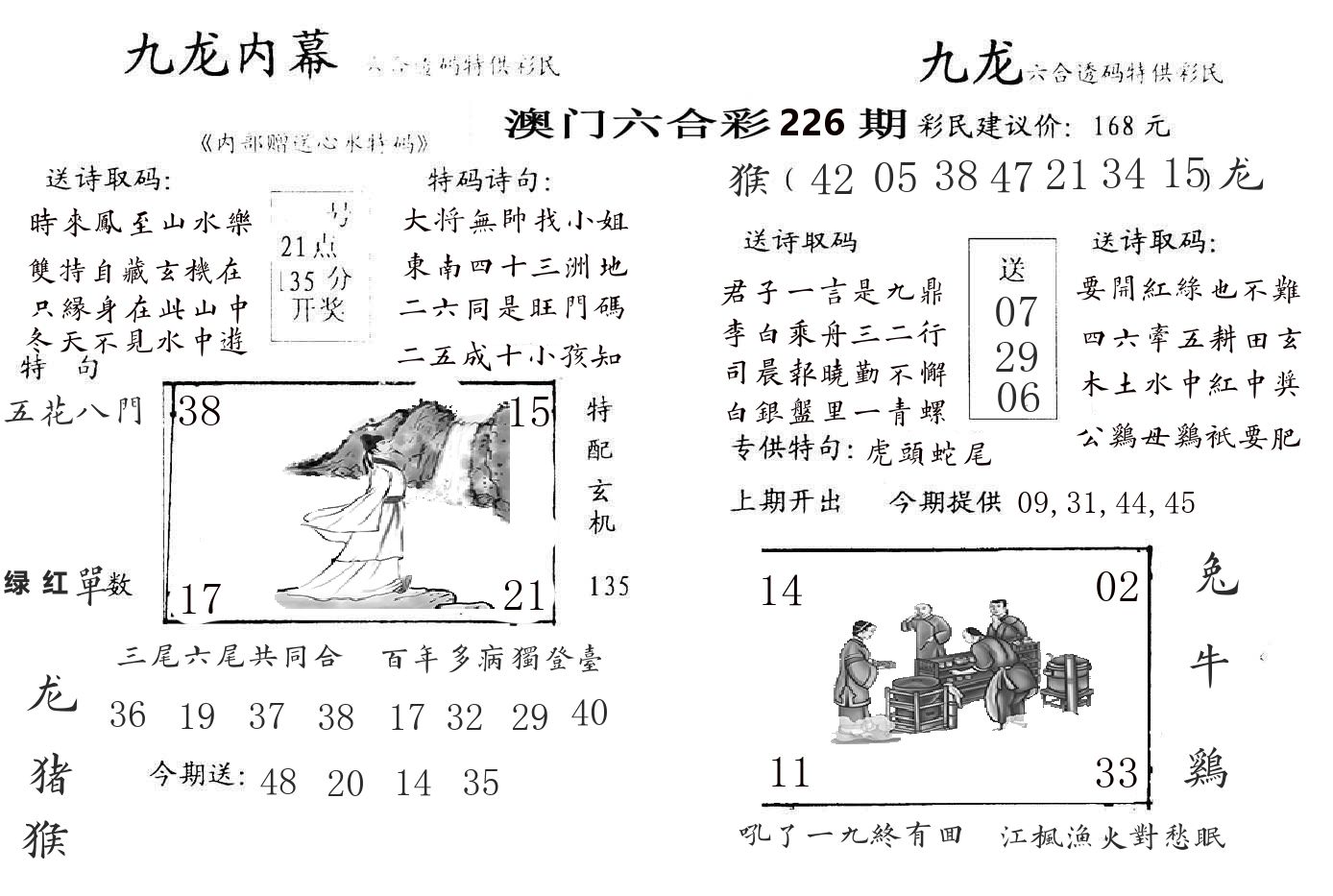 九龙内幕 第226期