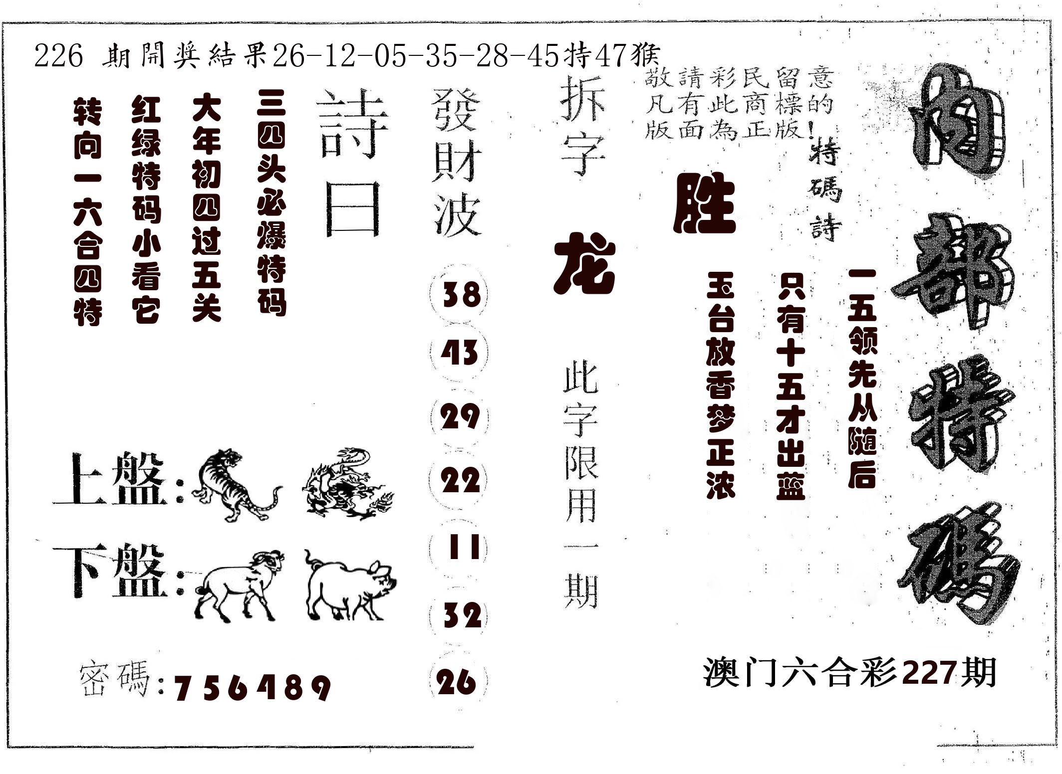 内部特码 第227期