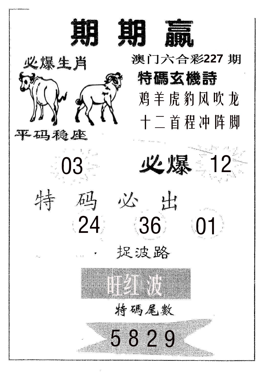 期期赢 第227期