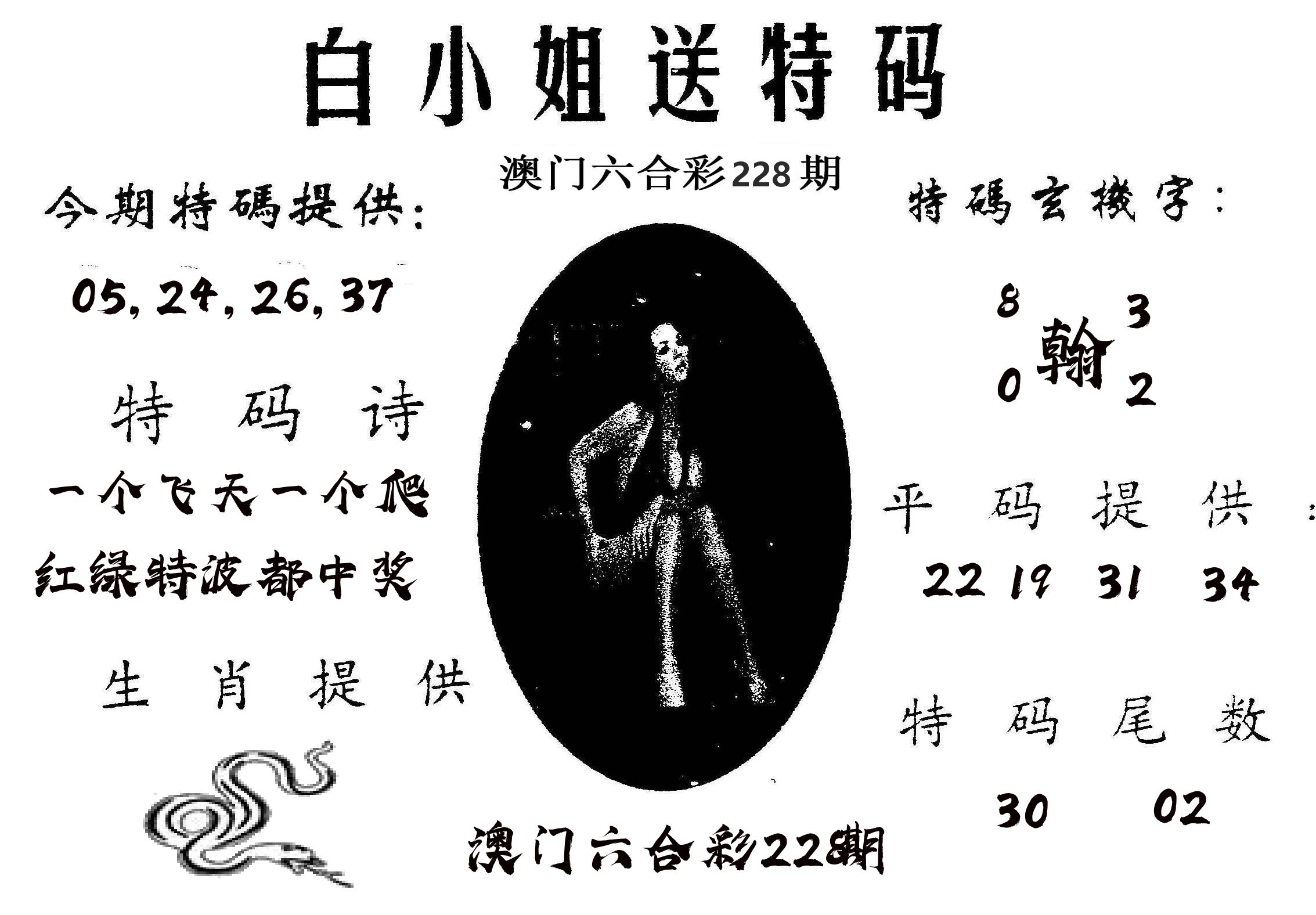白姐送特 第228期