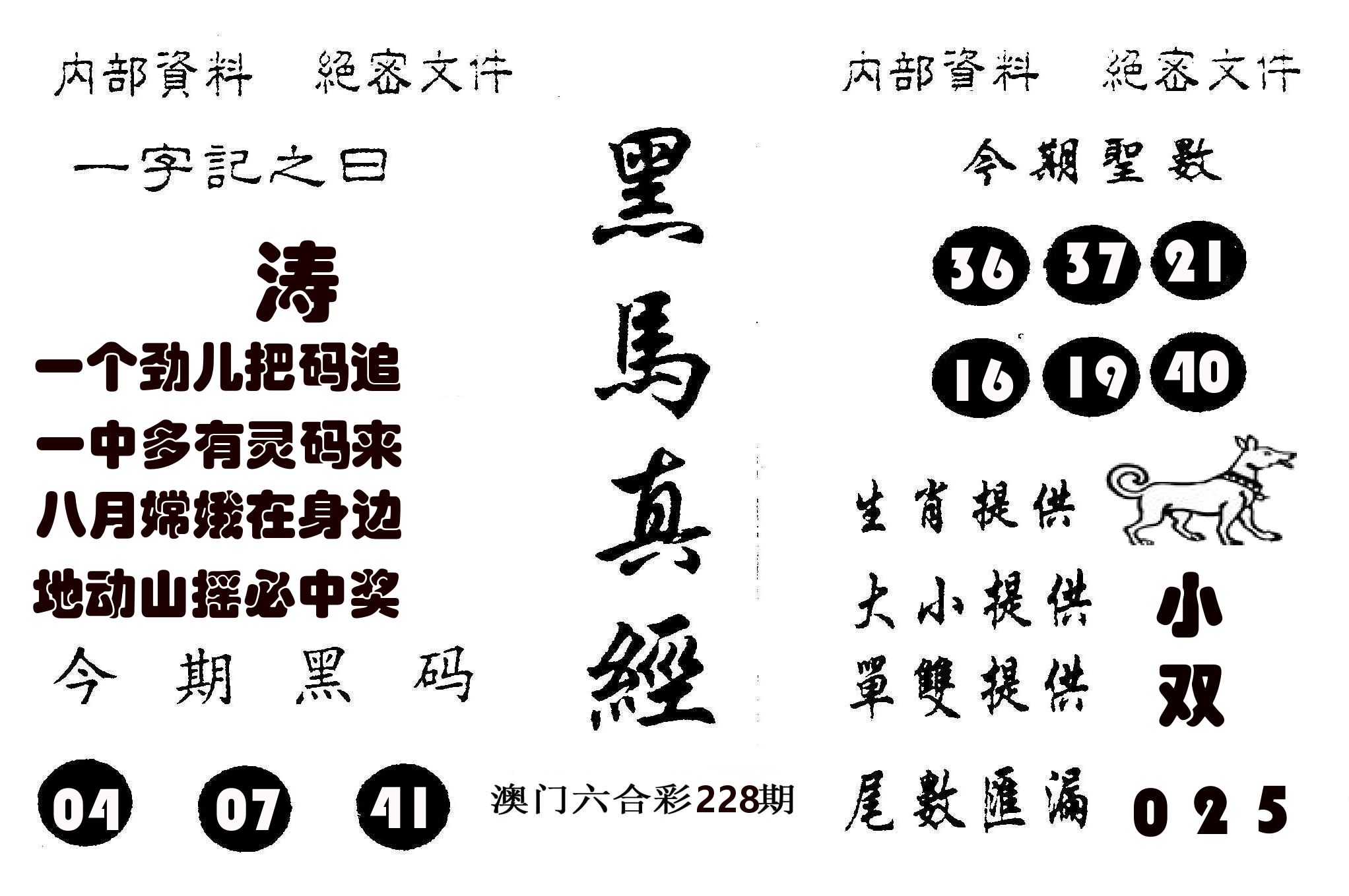 黑马真经 第228期
