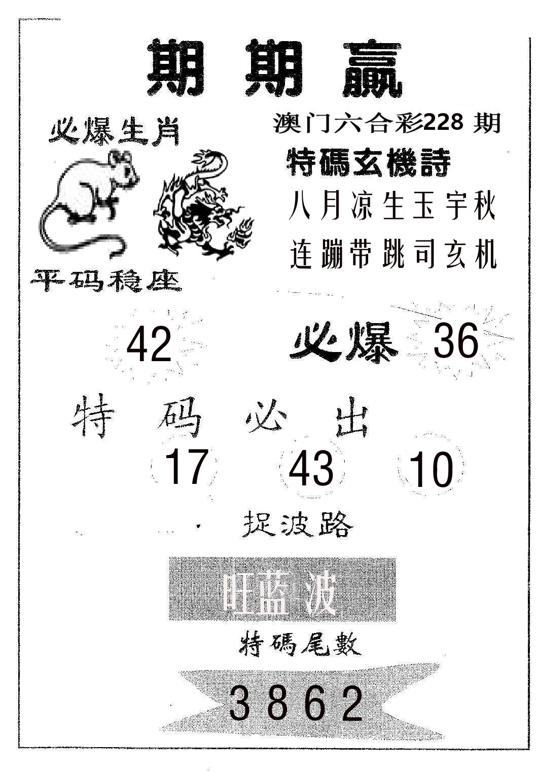 期期赢 第228期