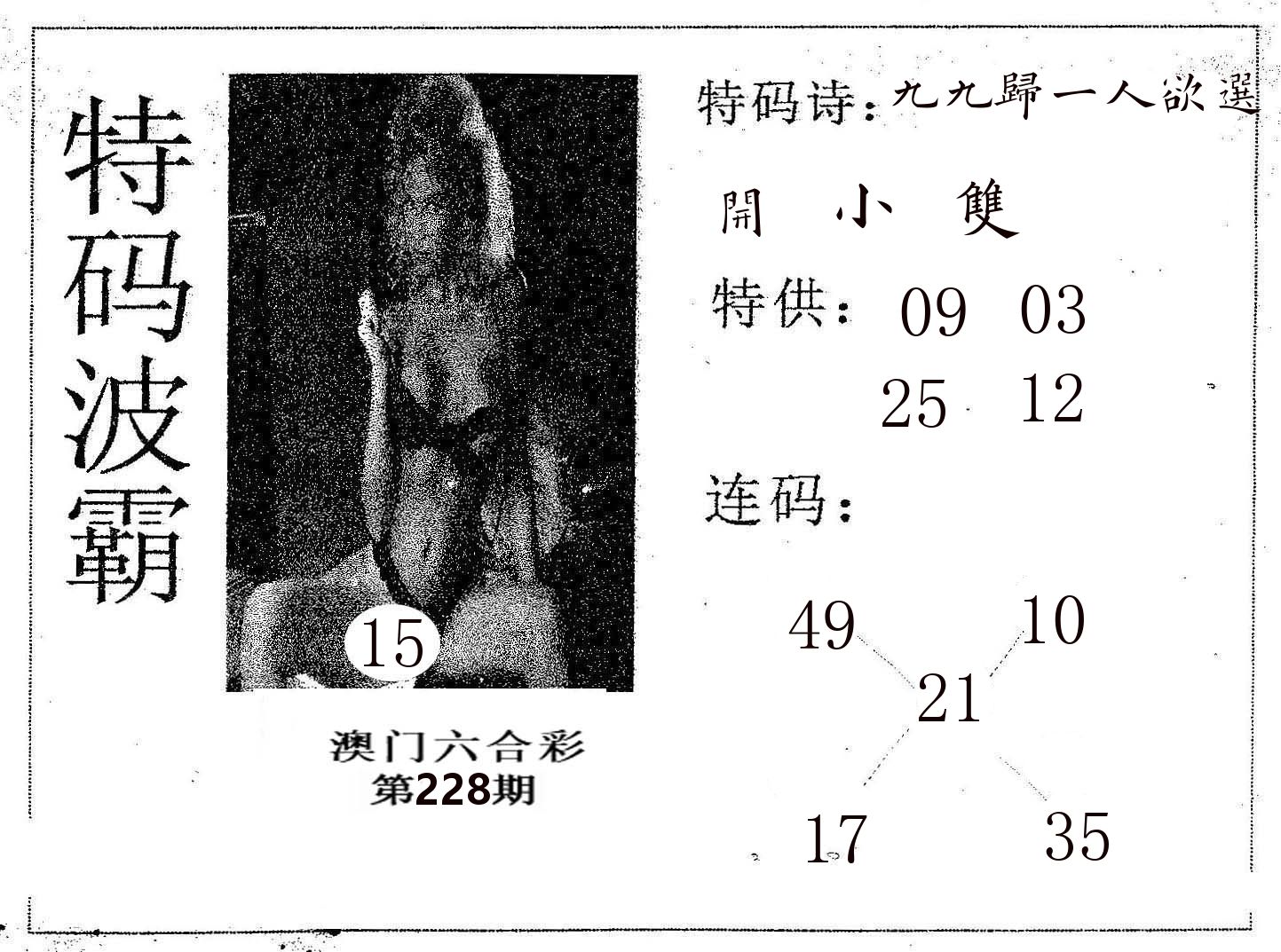 特码波霸 第228期