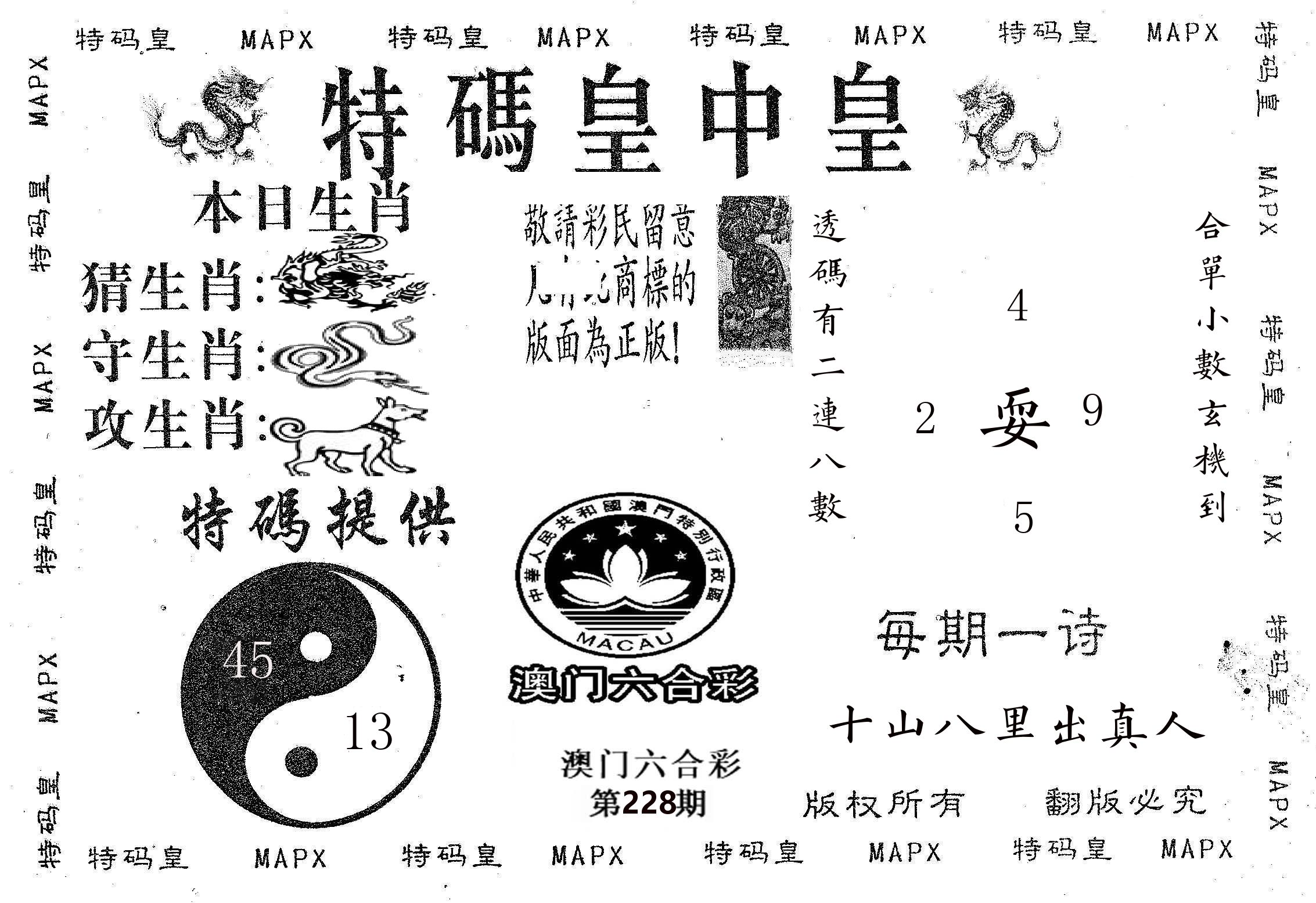 皇中皇B 第228期