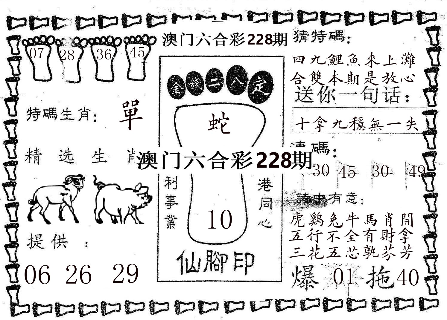仙脚印 第228期