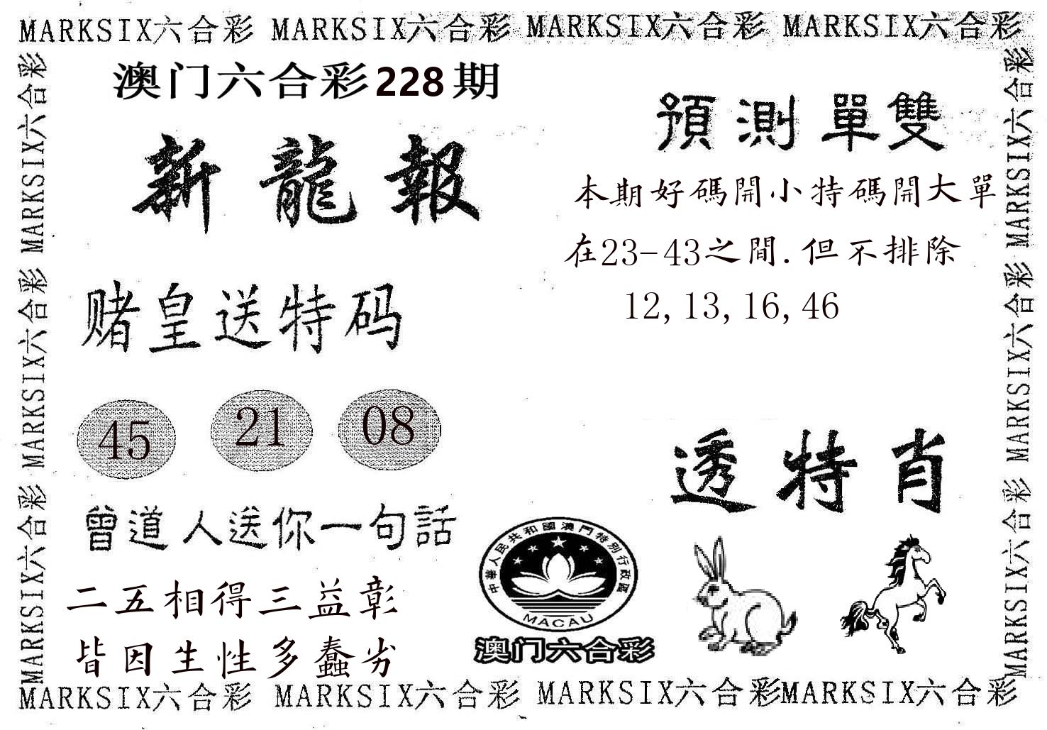 新龙报 第228期
