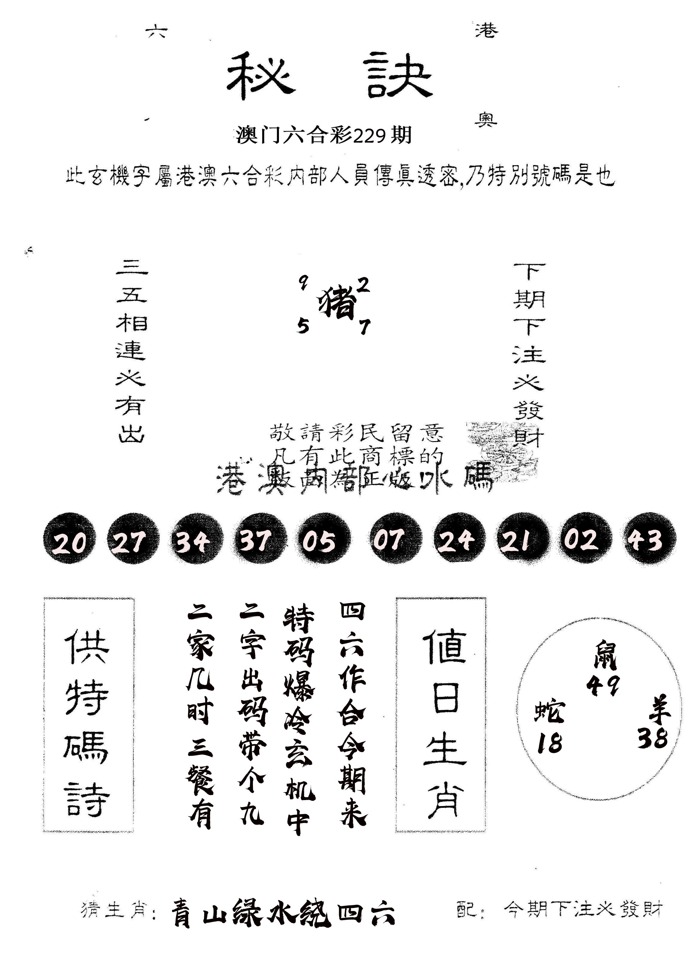 另版秘诀 第229期