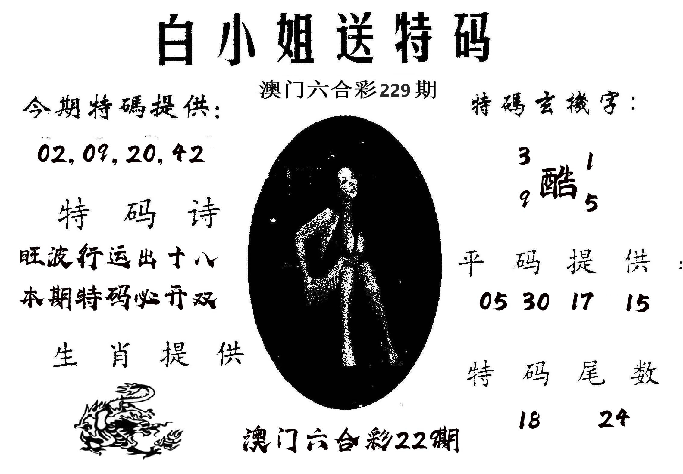 白姐送特 第229期
