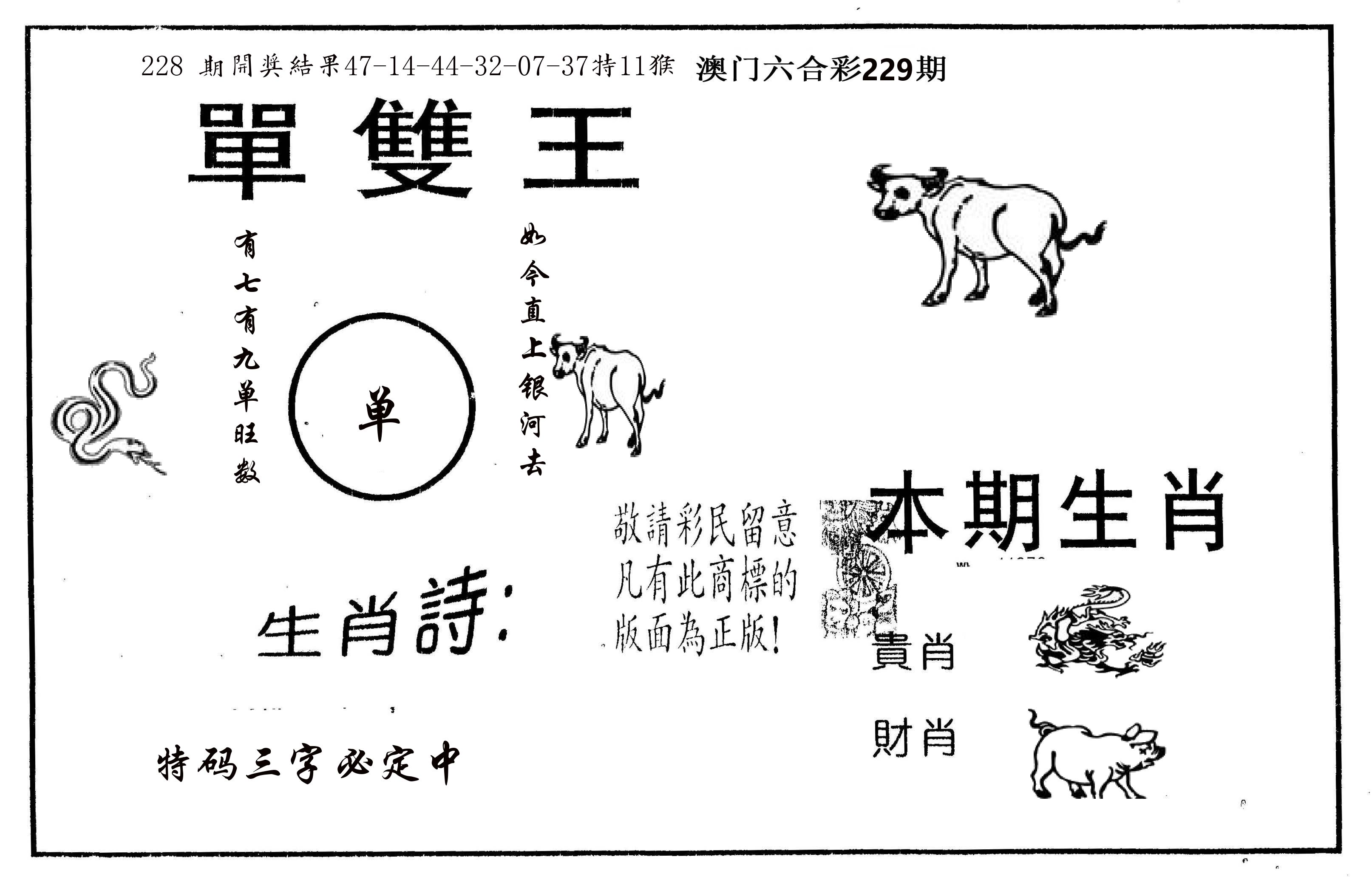 单双王A 第229期