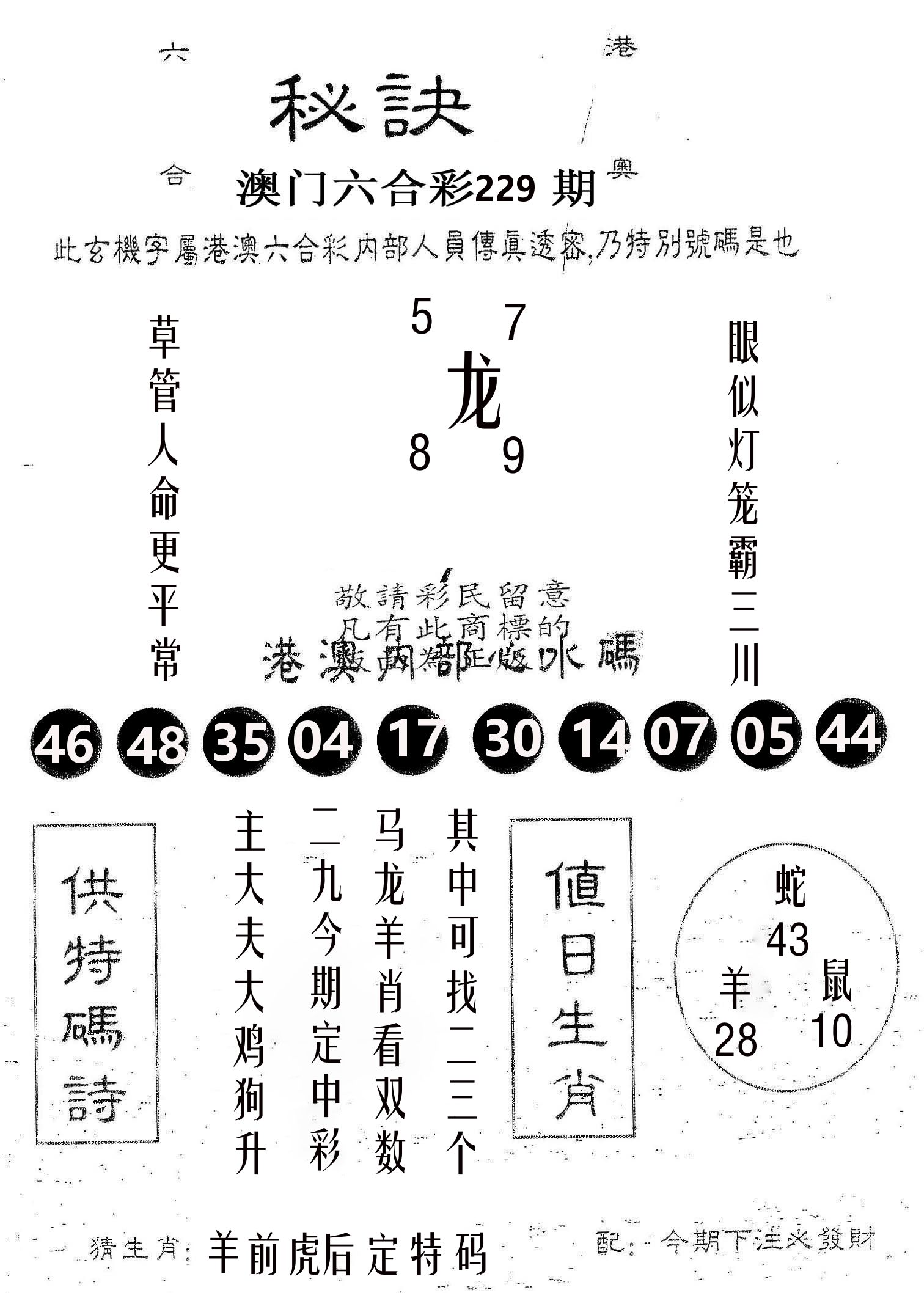 秘决 第229期