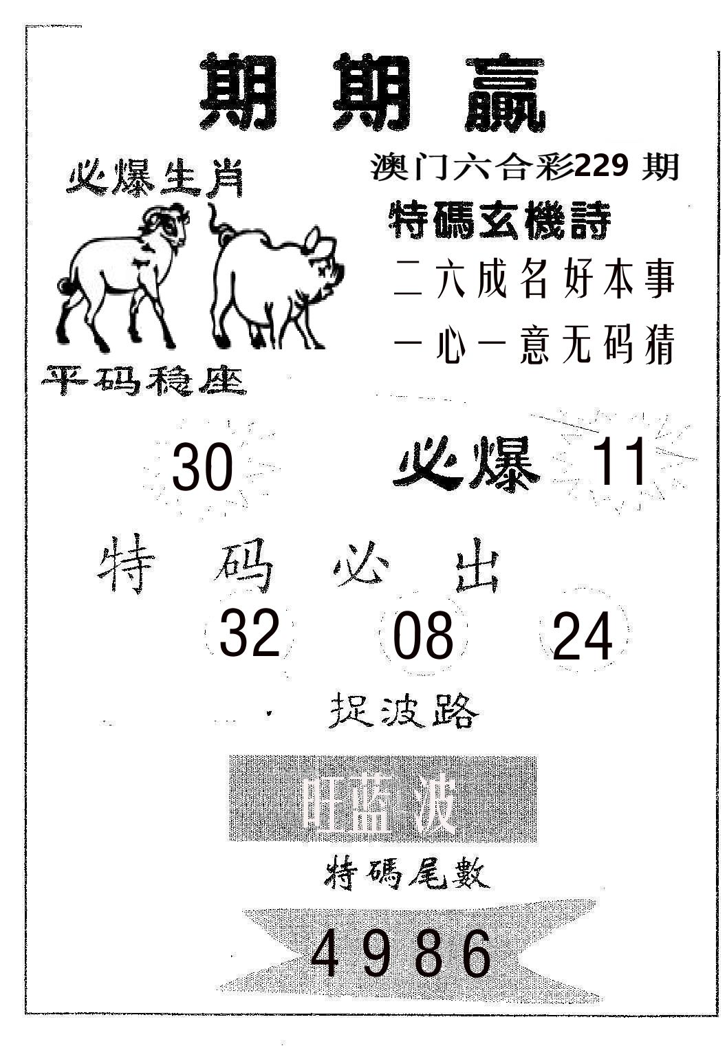 期期赢 第229期
