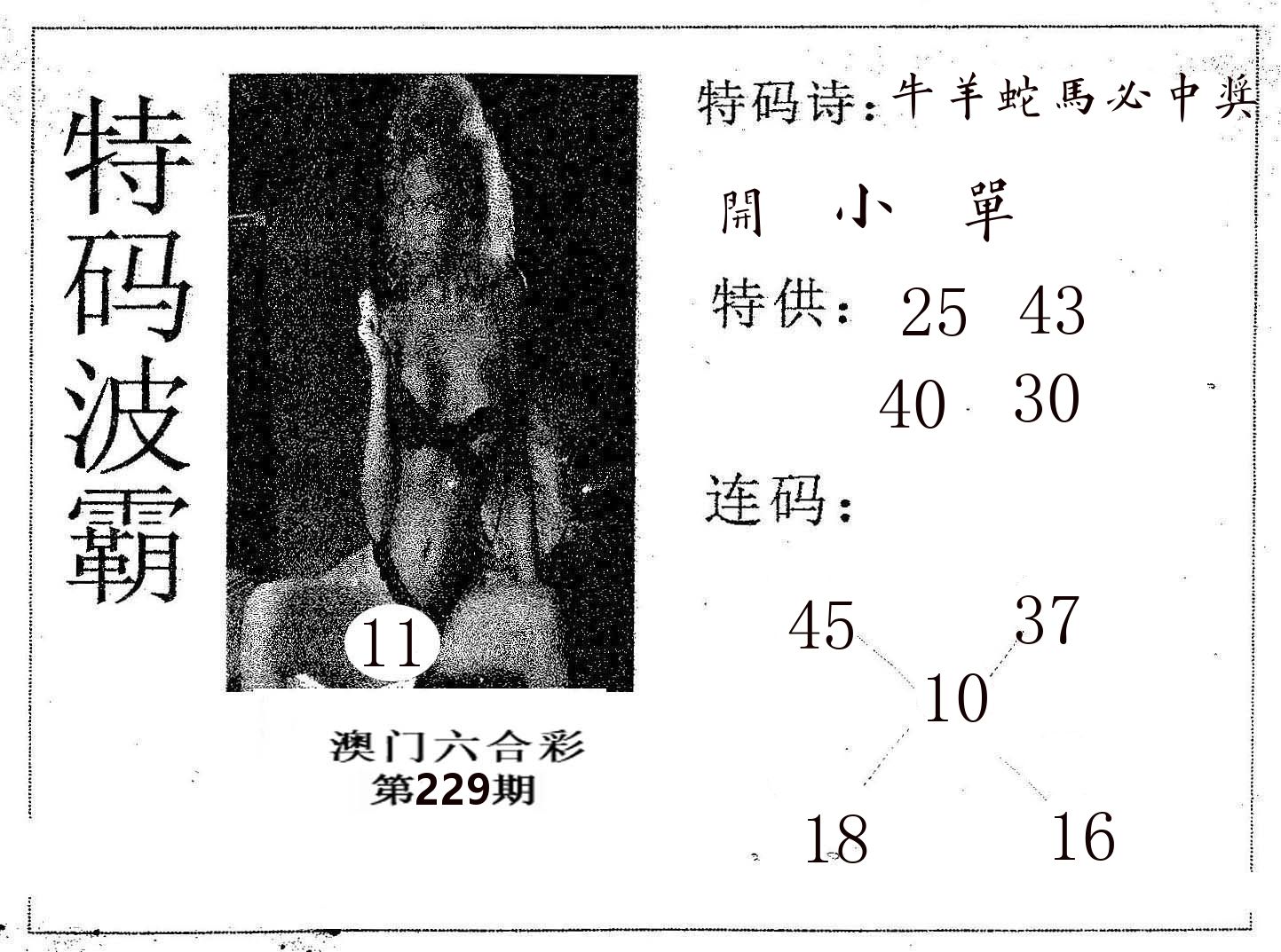 特码波霸 第229期