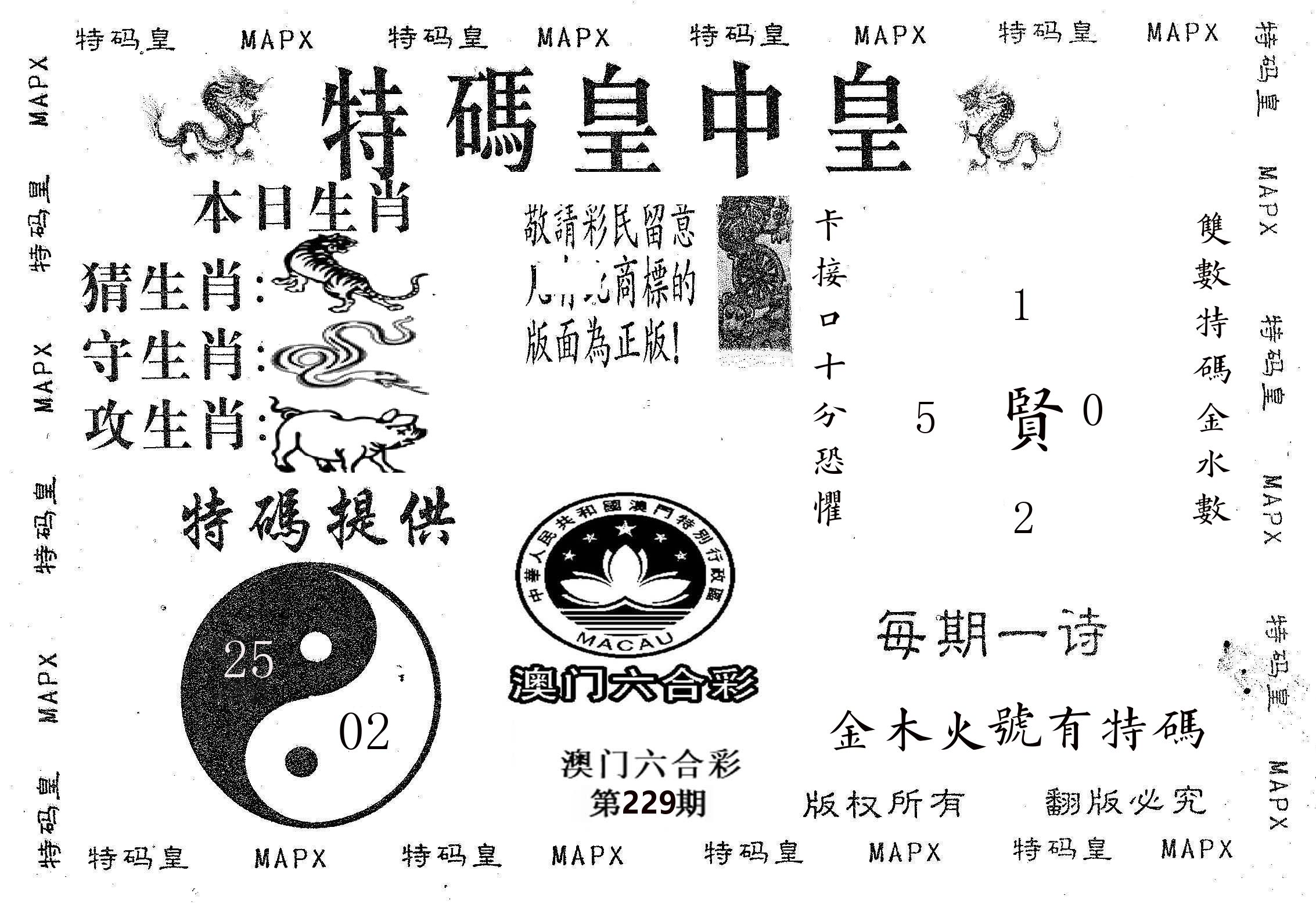 皇中皇B 第229期