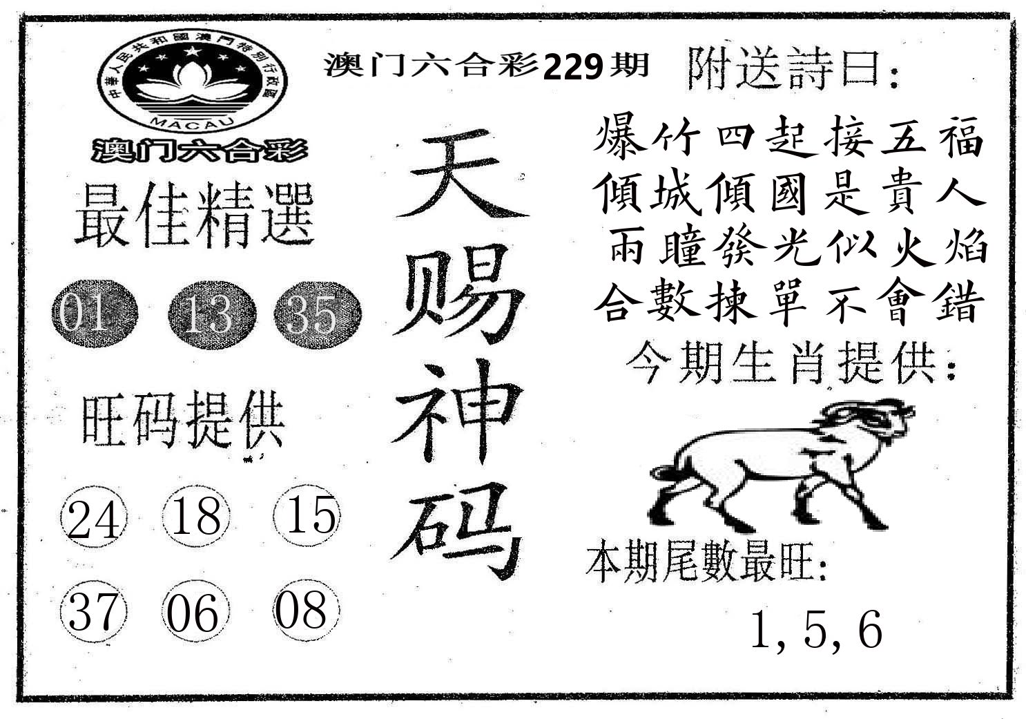 天赐神码 第229期