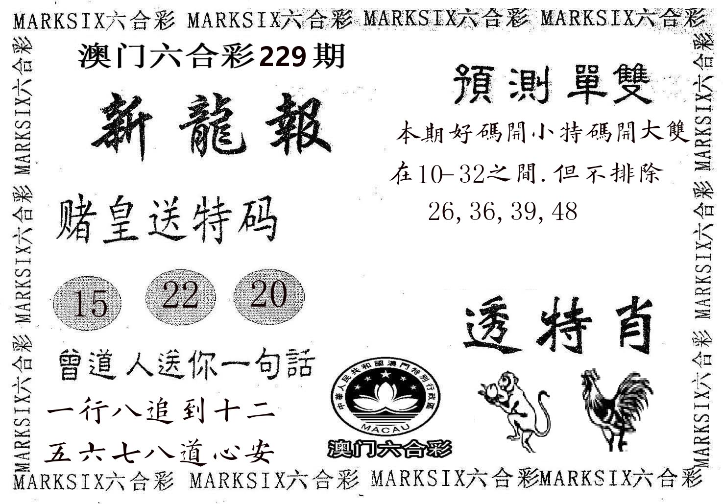新龙报 第229期