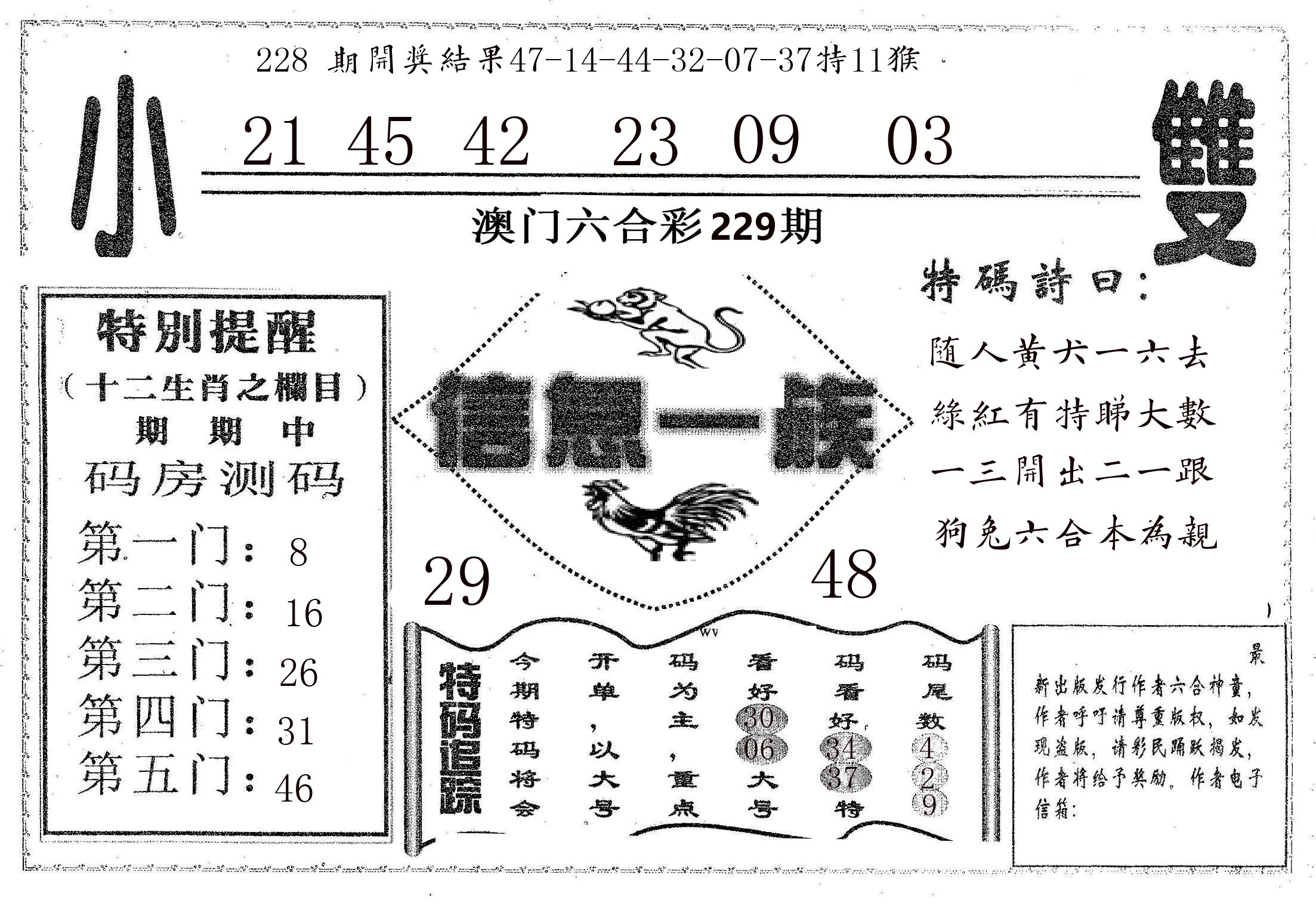 信息一族 第229期