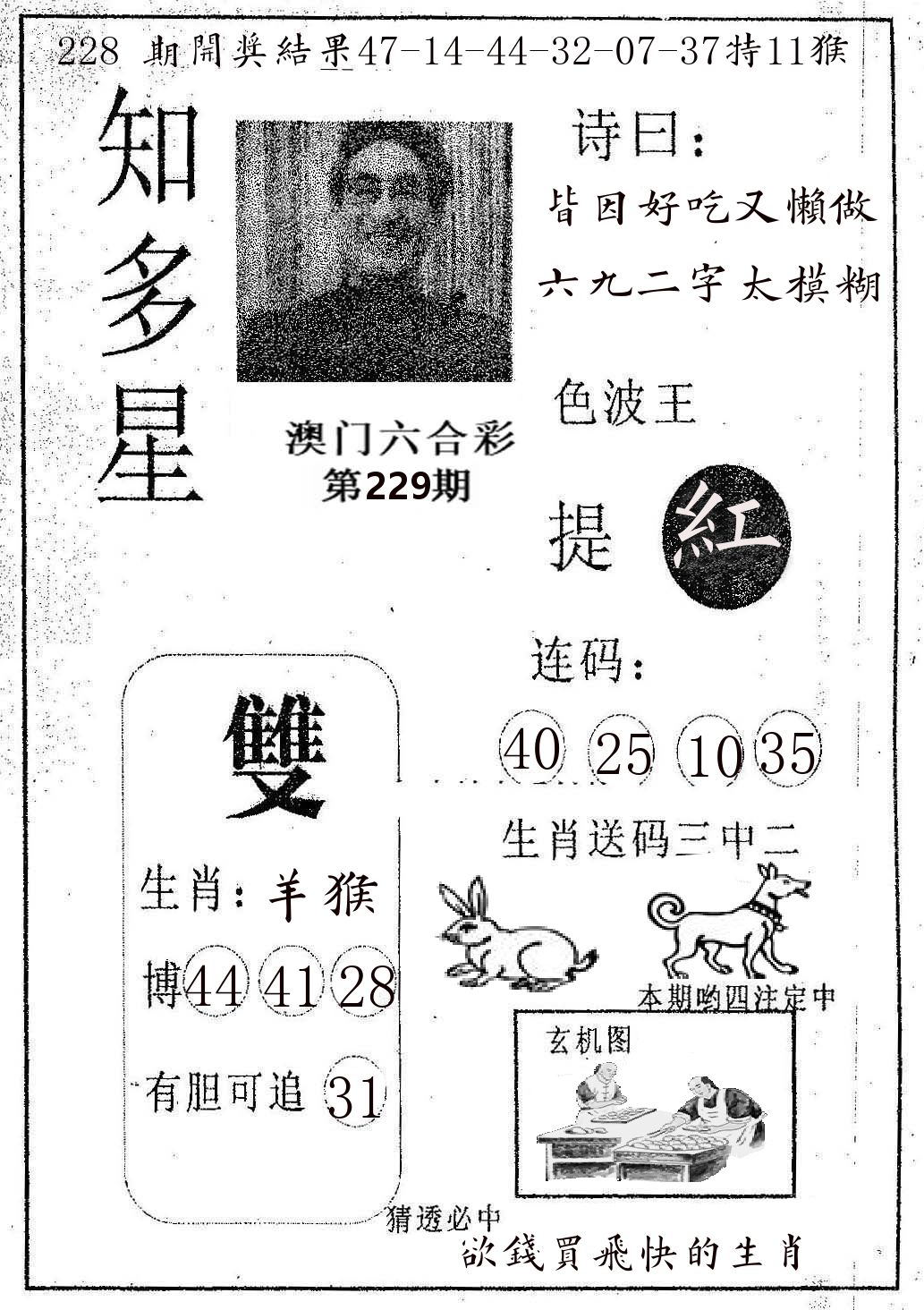 知多星 第229期