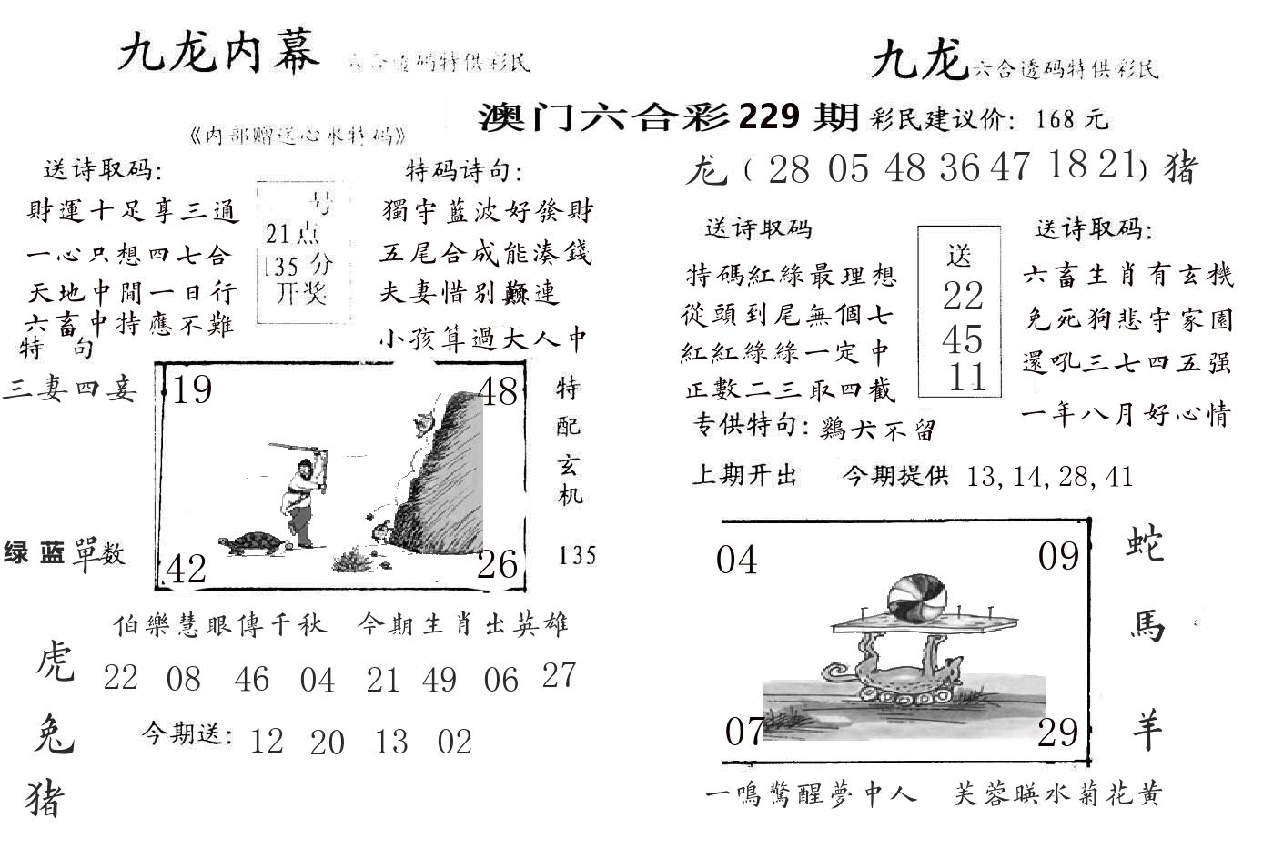 九龙内幕 第229期