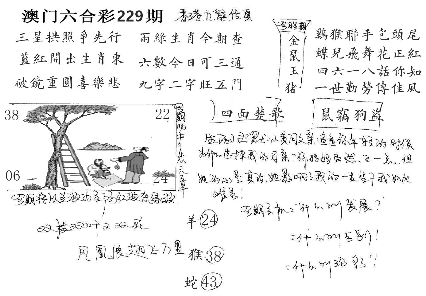 澳门手写九龙 第229期