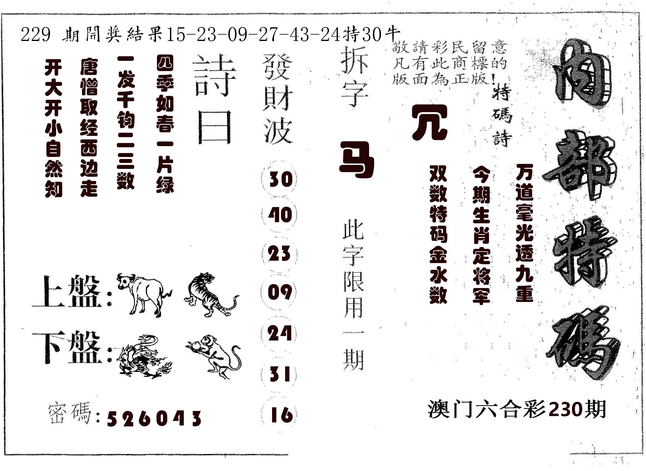 内部特码 第230期