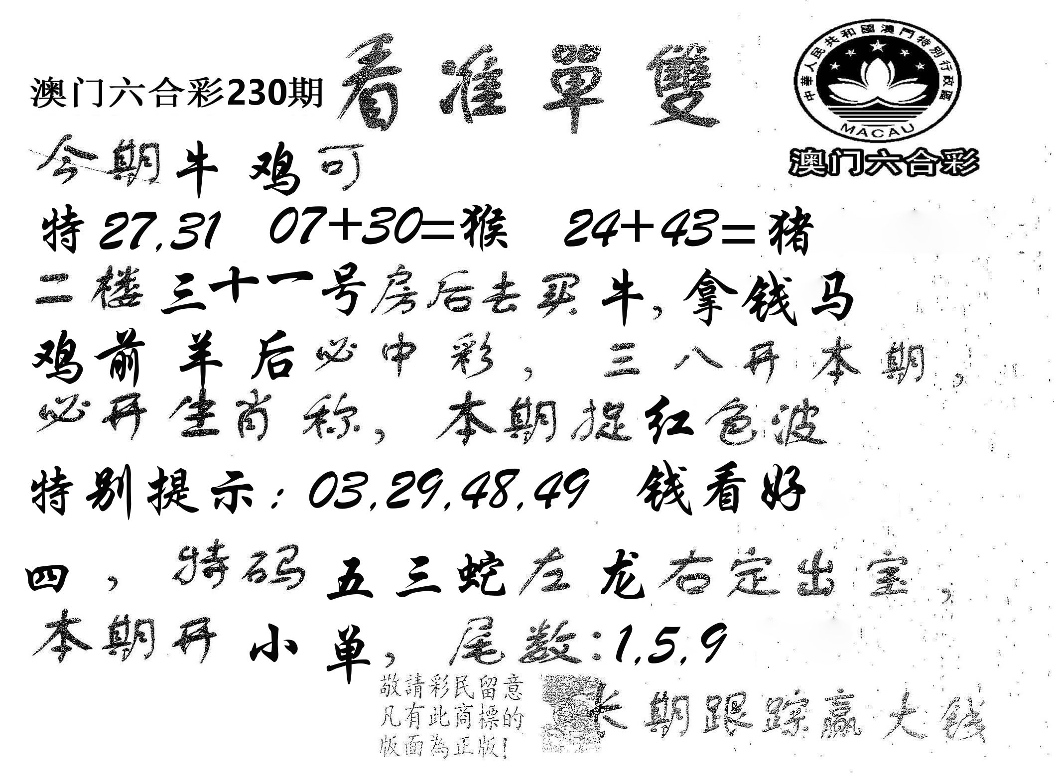 看准单双 第230期