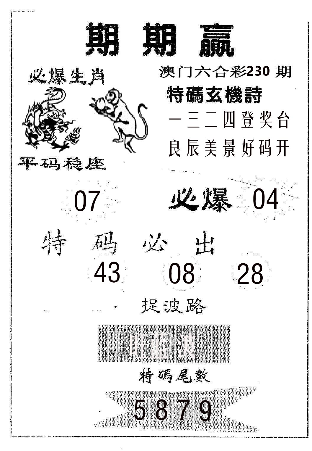 期期赢 第230期