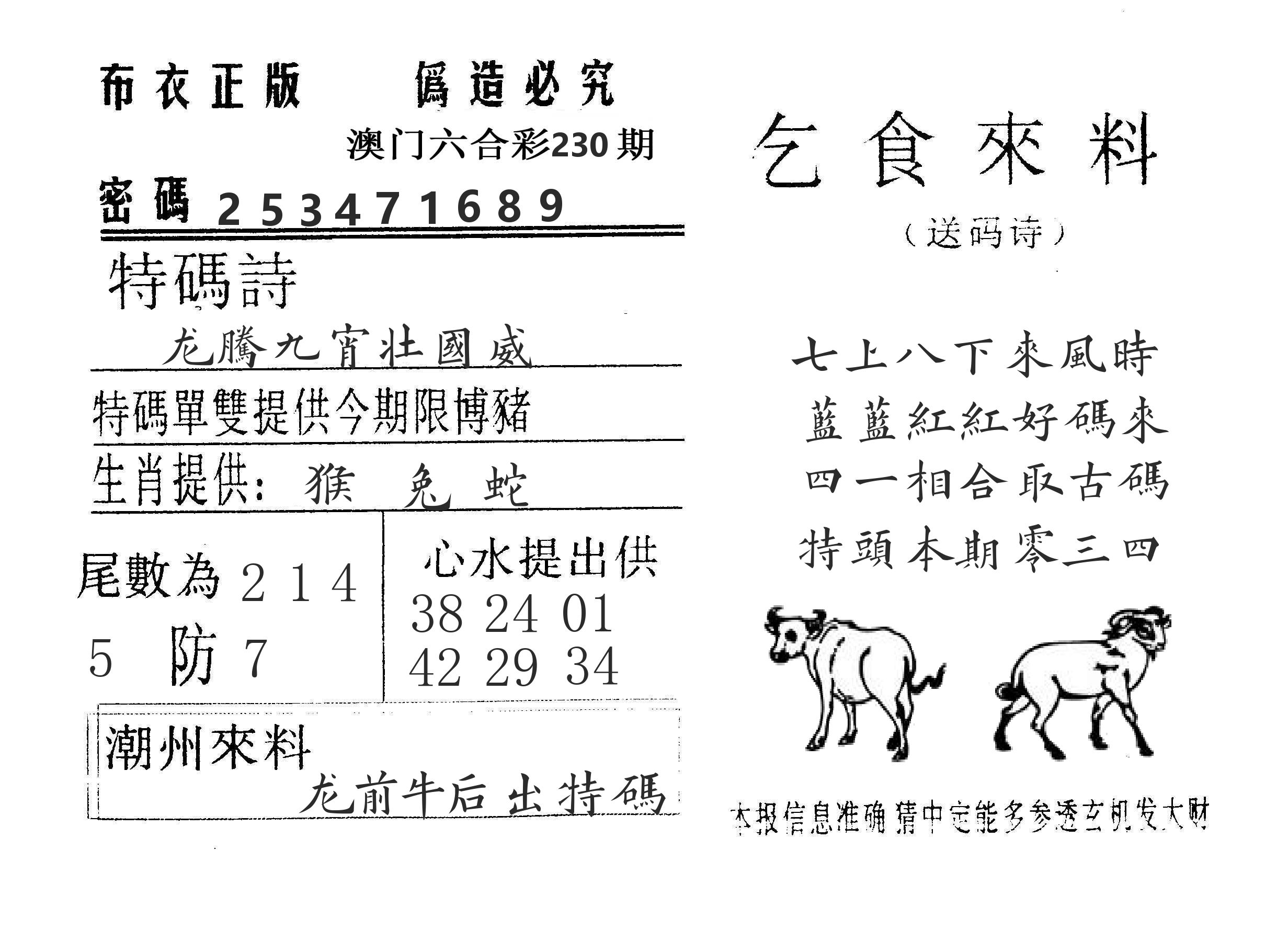 乞食来料 第230期