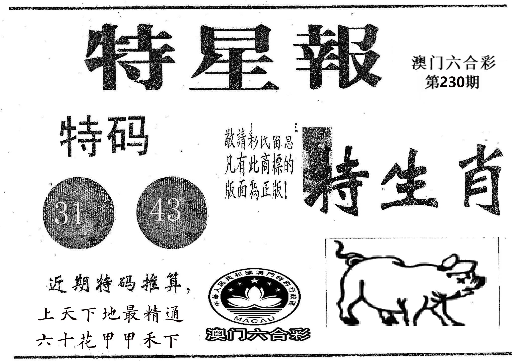 特星报 第230期