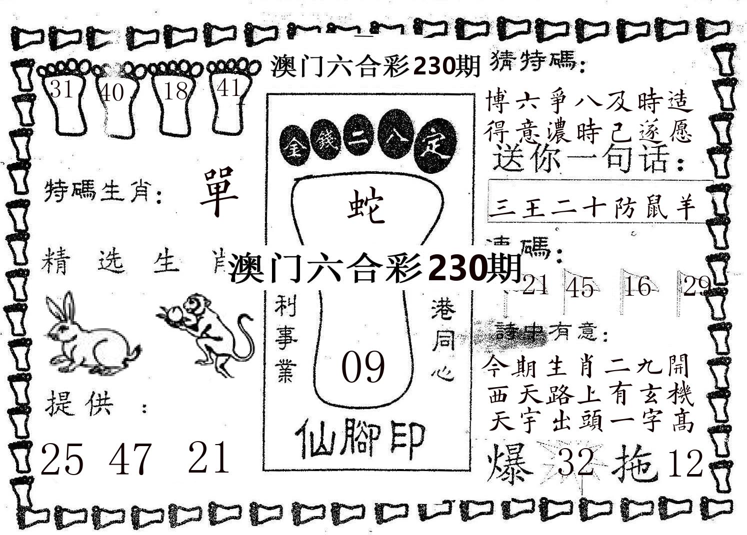 仙脚印 第230期